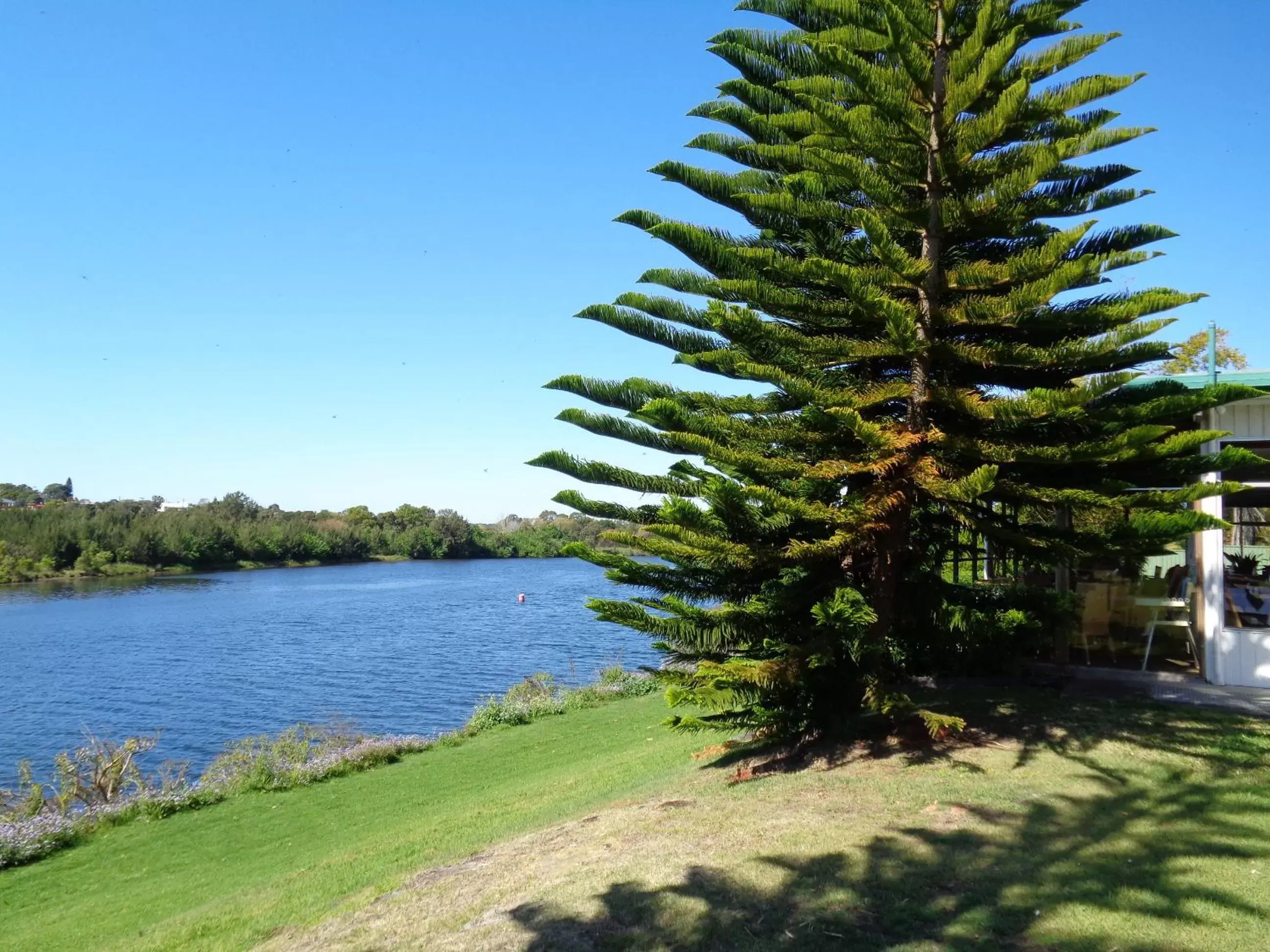 River view in Moon River Motor Inn