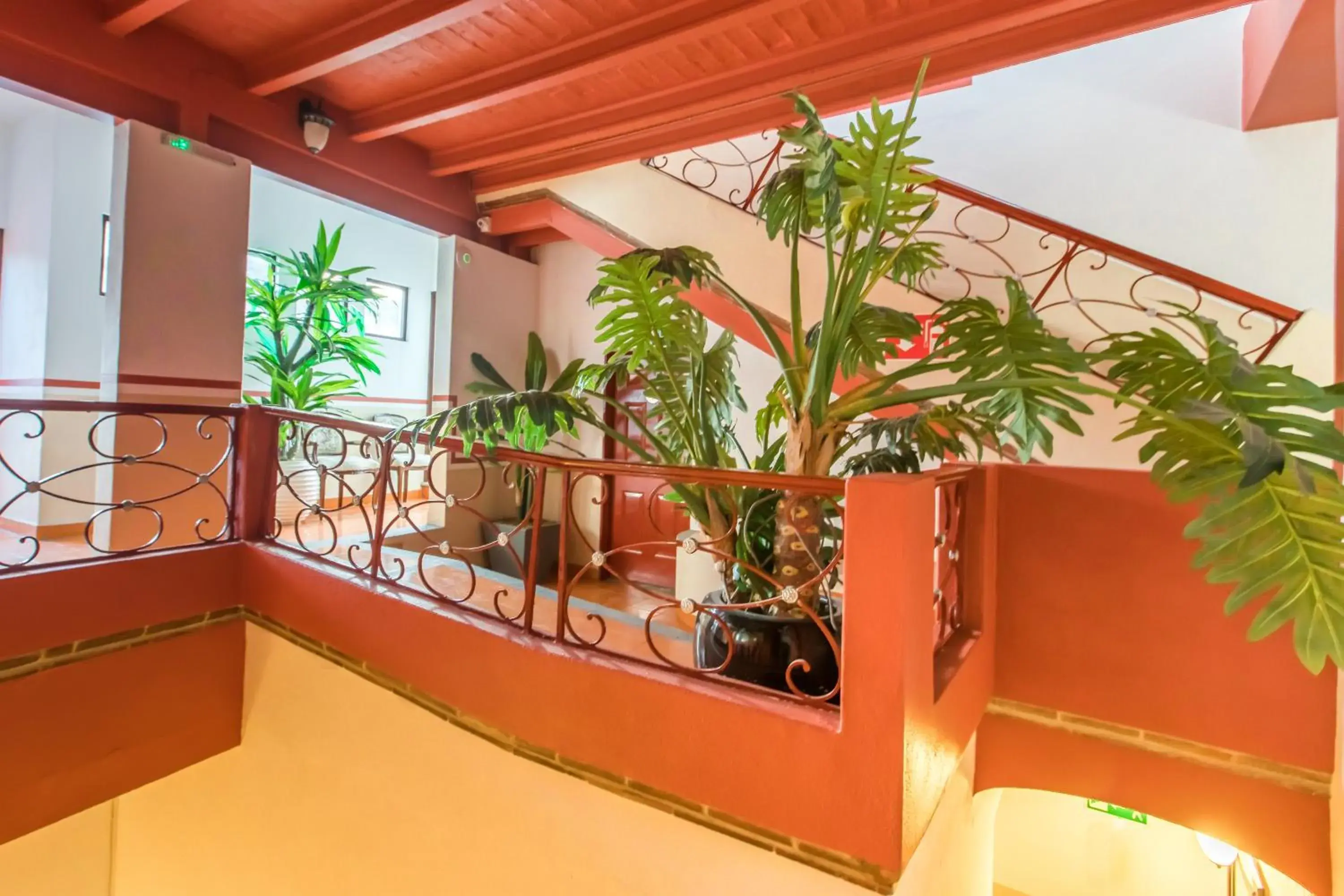 Balcony/Terrace in Hotel de la Paz