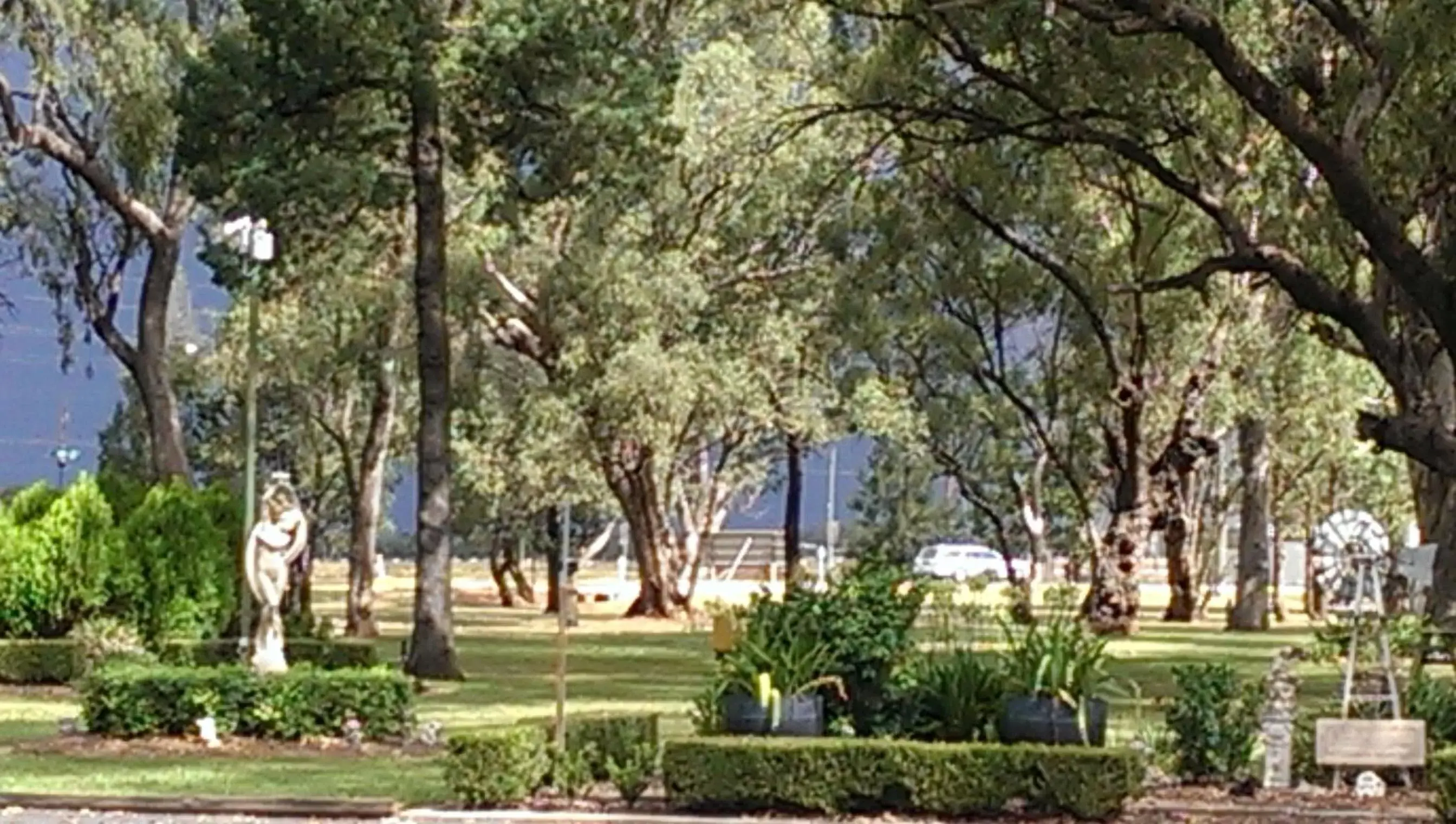 Garden in Cooee Motel