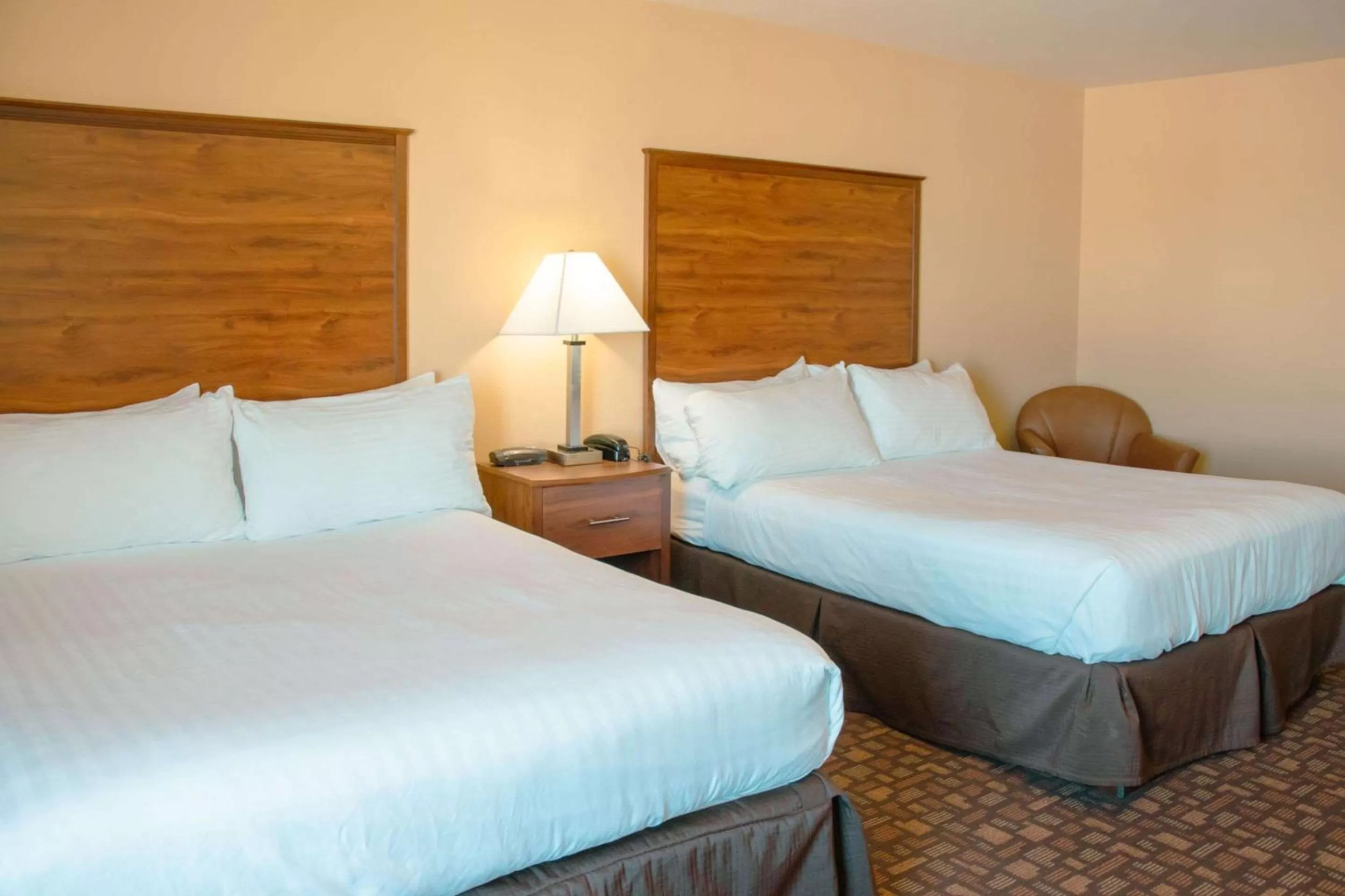 Bedroom, Bed in Expressway Suites of Grand Forks