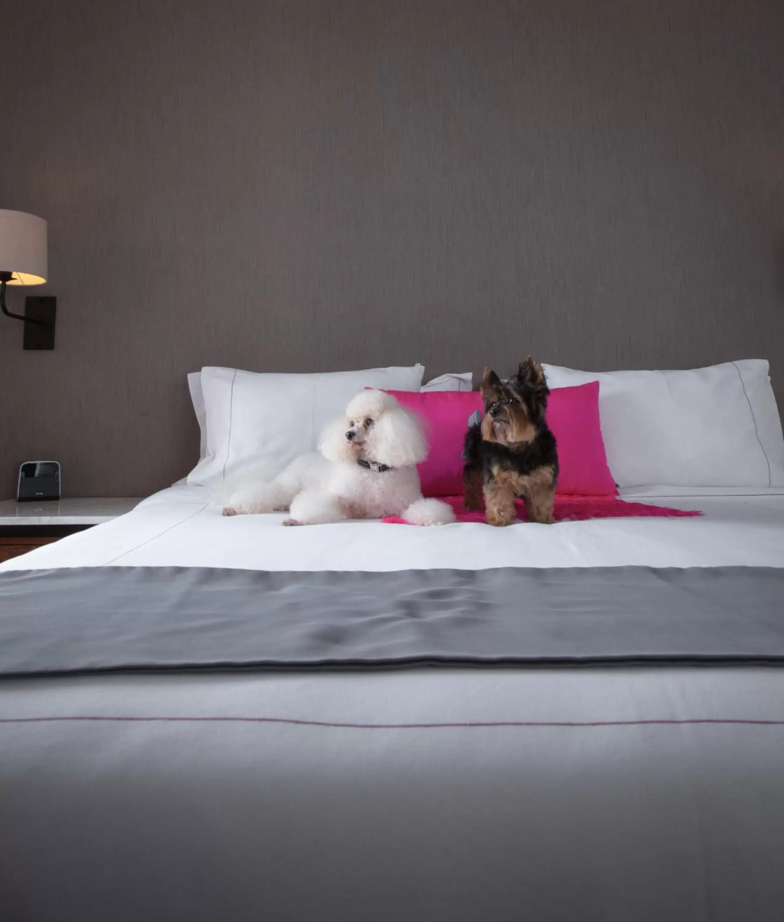 Pets, Bed in Las Suites Campos Eliseos