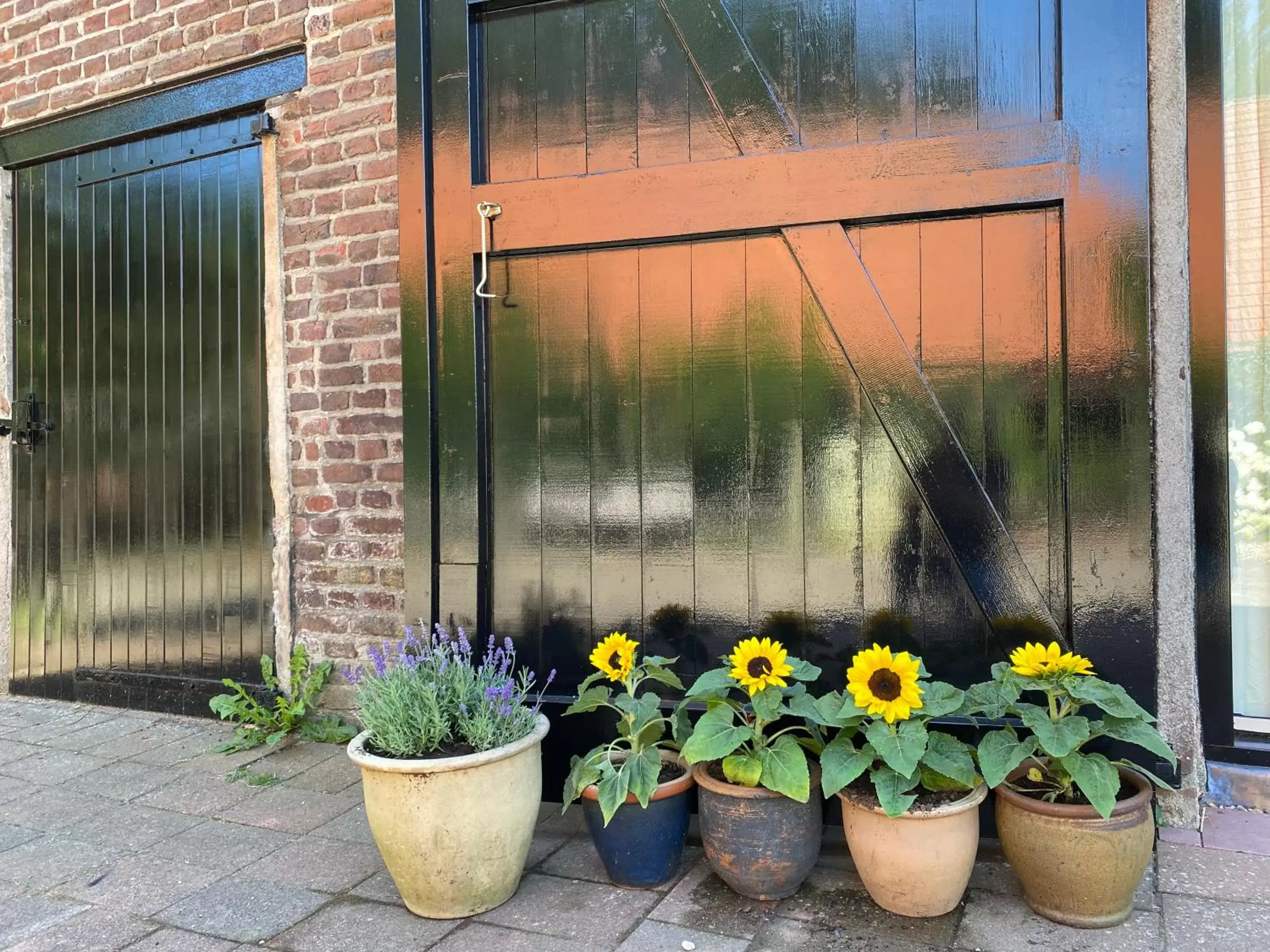 Garden view in De Heeren Hoeve Carpe Diem