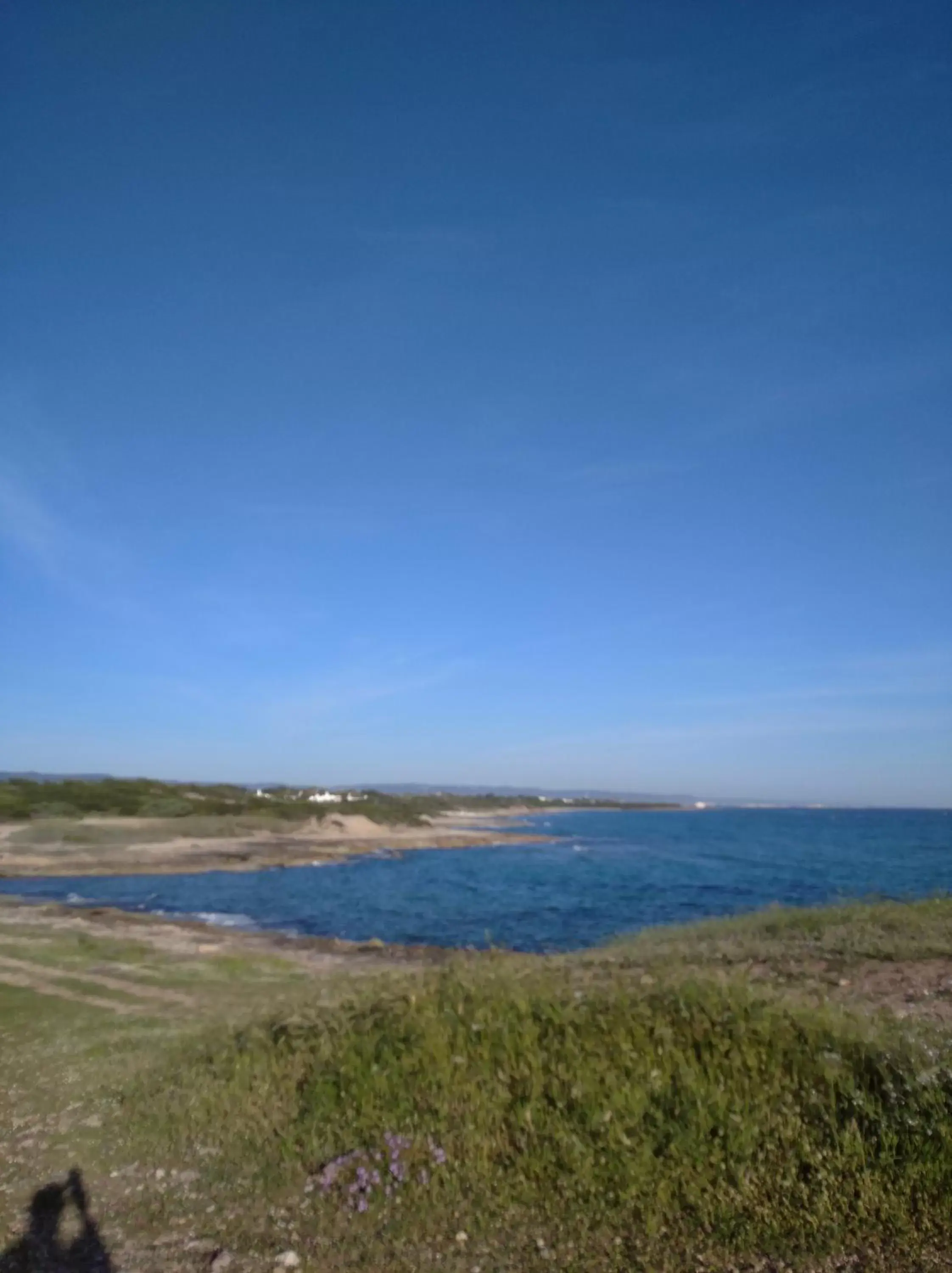 Natural landscape, Beach in IL PRINCIPE VIENDALMARE