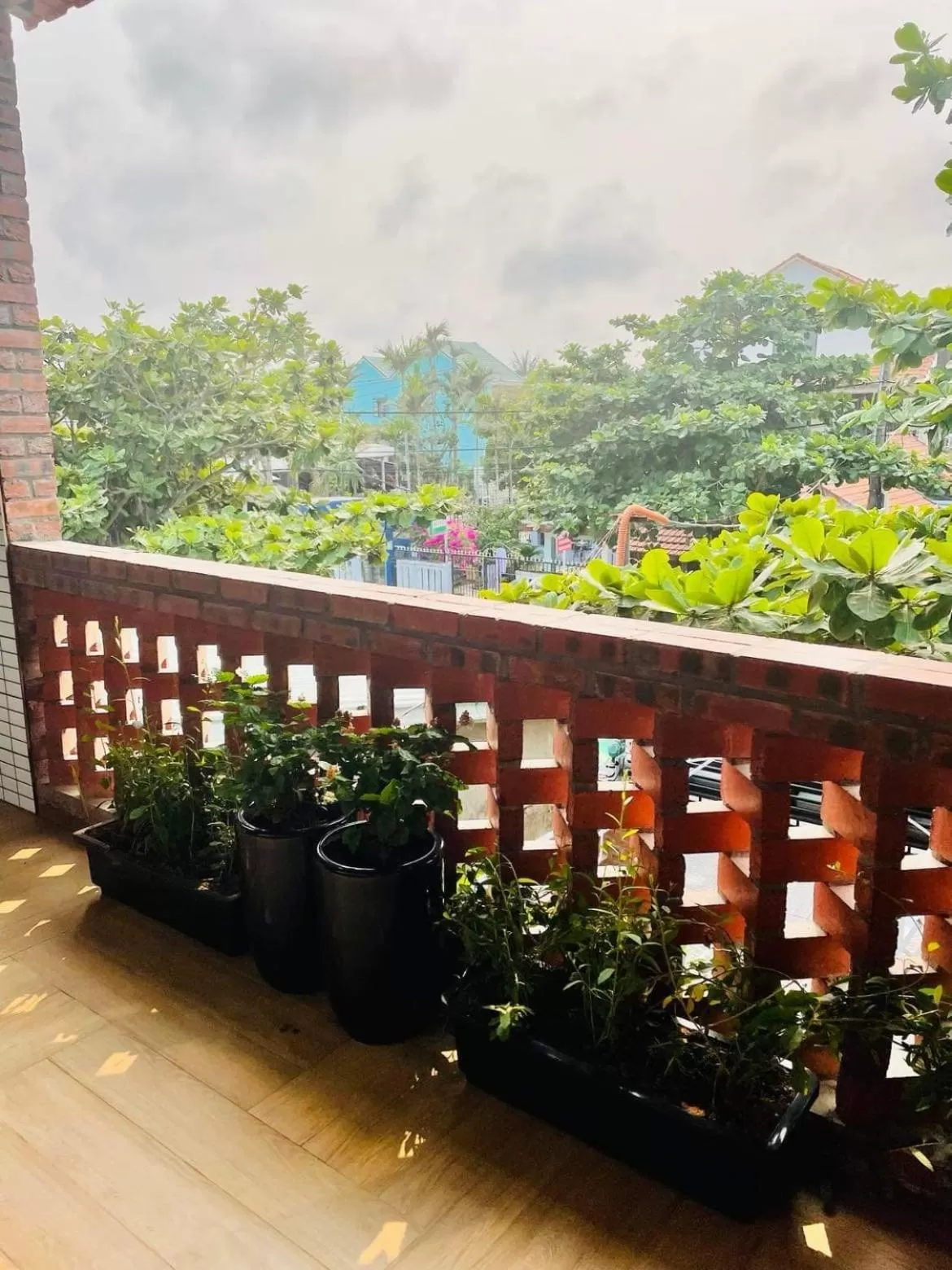 View (from property/room) in Hoi An Golden Bamboo An Bang Beach Villa & Spa