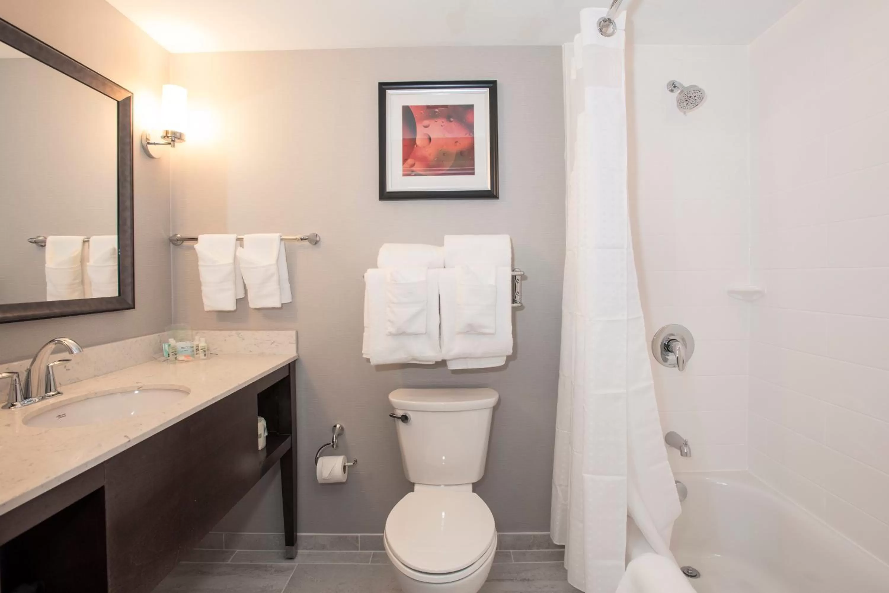 Double Room with Two Double Beds - Hearing Accessible/Non-Smoking  in Holiday Inn Hotel & Suites Cincinnati Downtown, an IHG Hotel