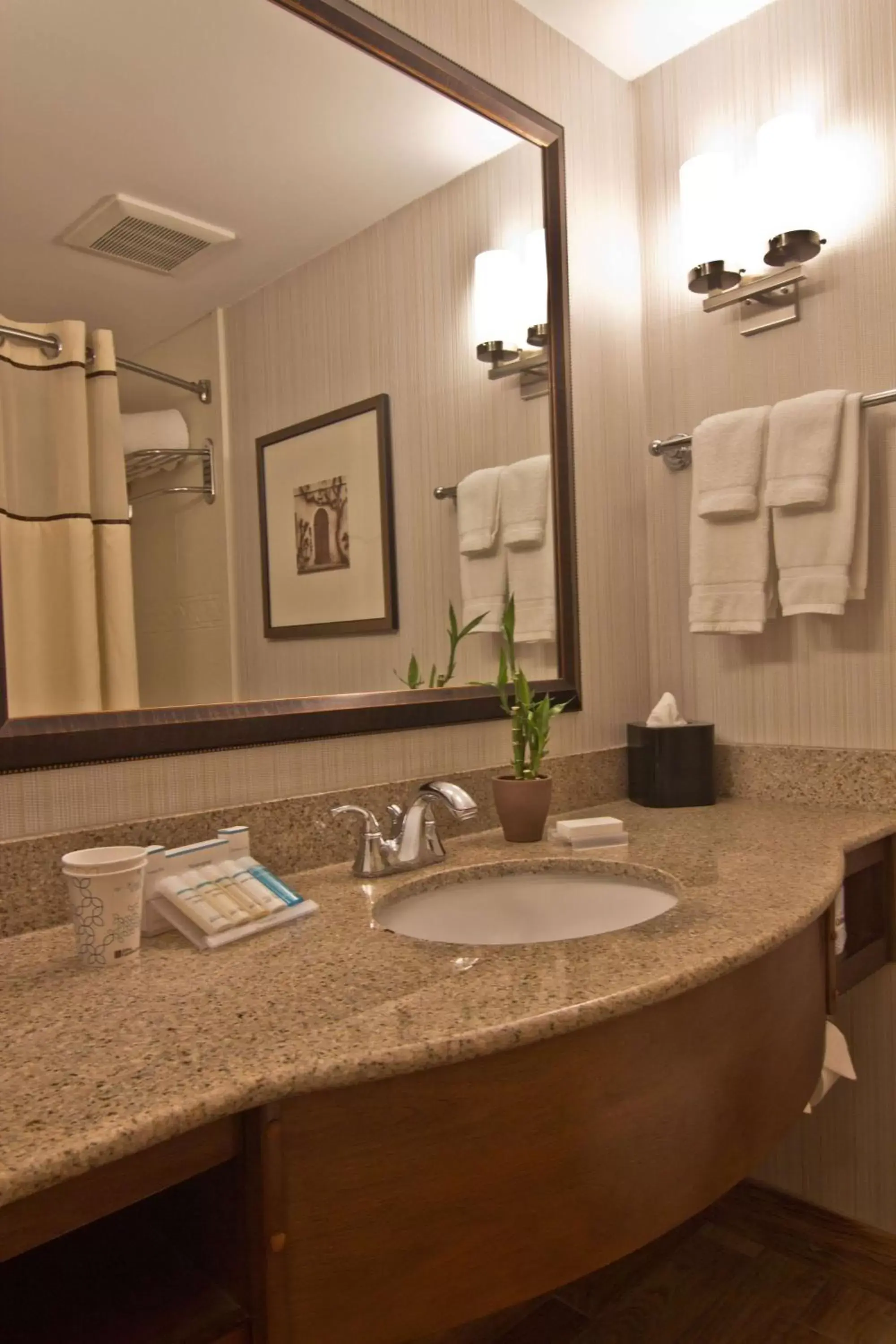 Bathroom in Hilton Garden Inn Columbus/Grove City