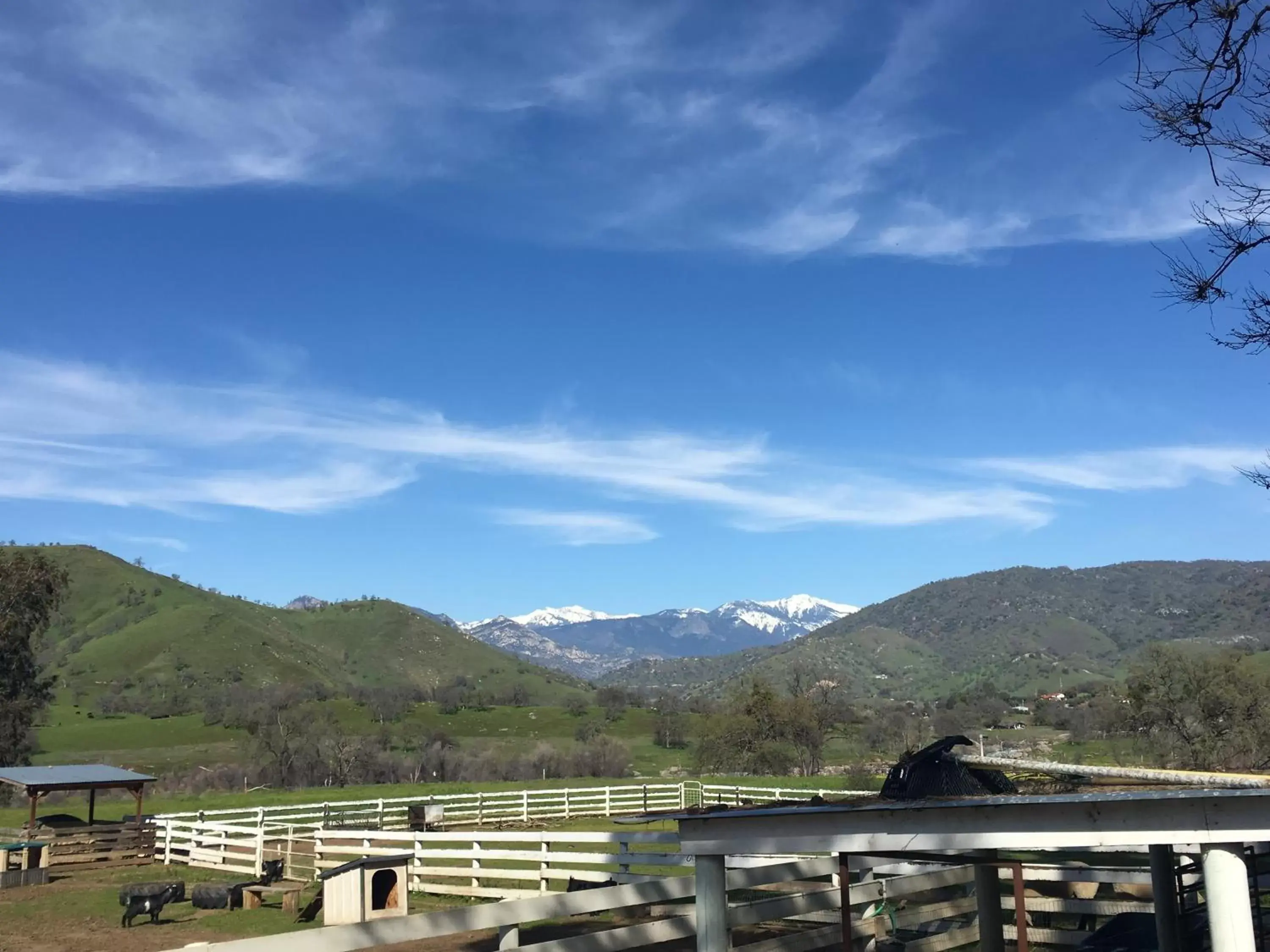 Mountain View in Lazy J Ranch Motel