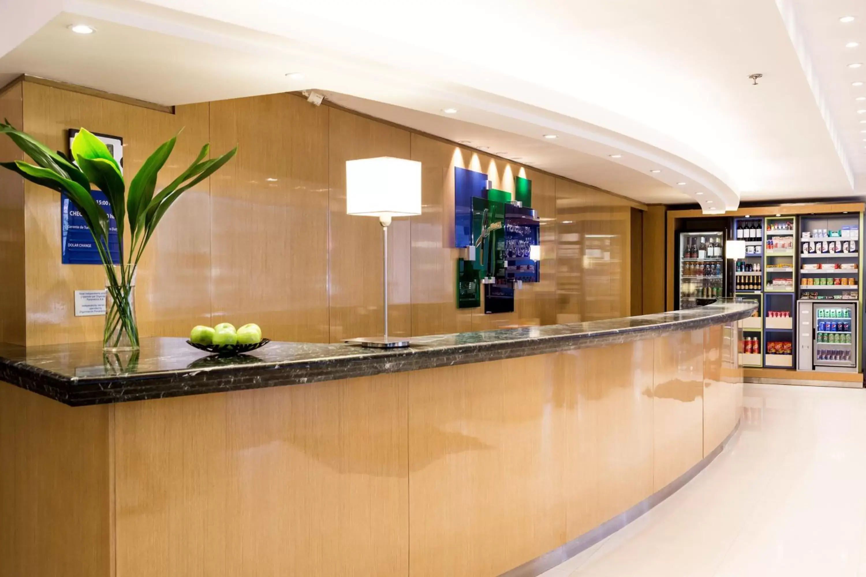 Lobby or reception, Lobby/Reception in Holiday Inn Express Rosario, an IHG Hotel