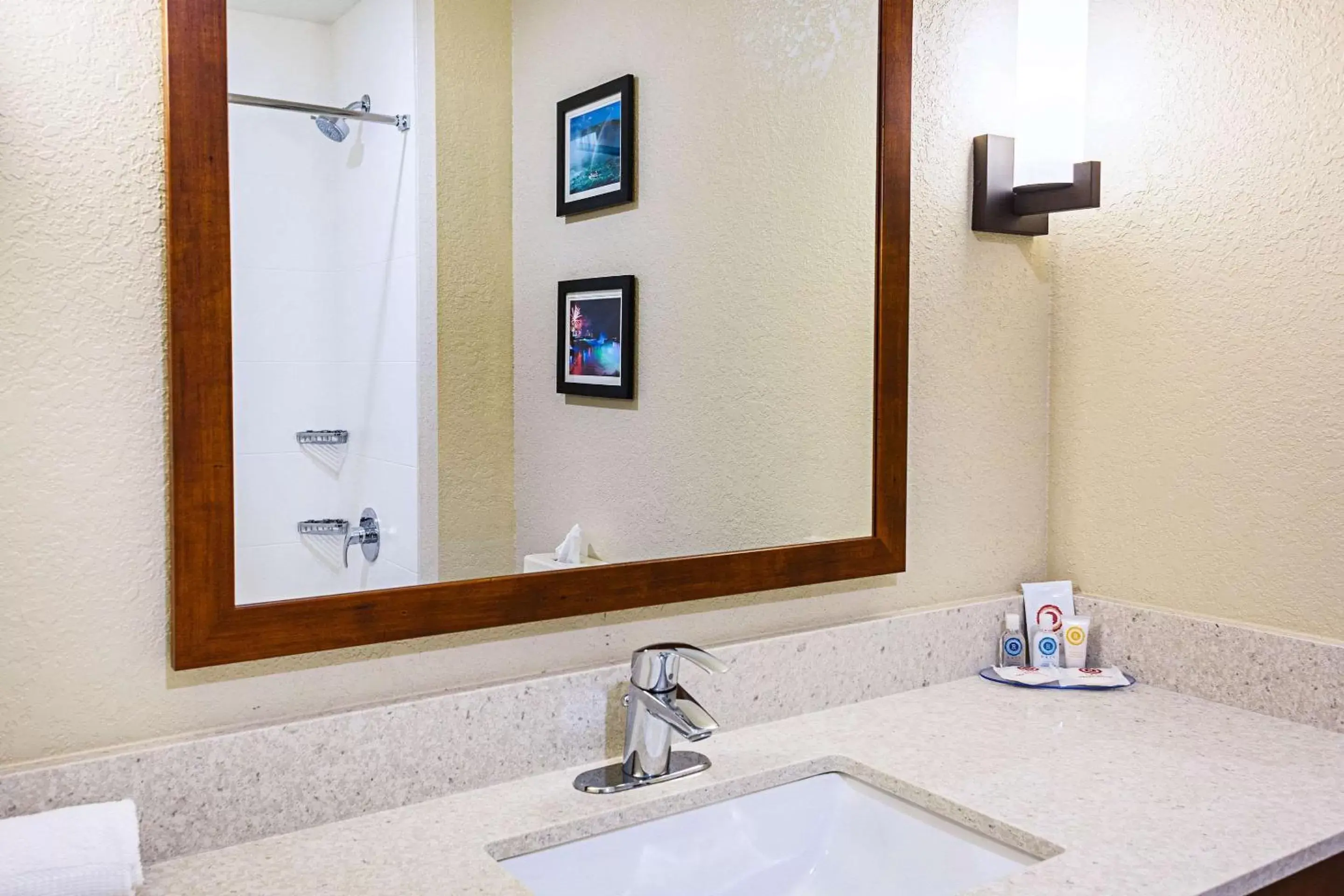 Bathroom in Comfort Inn & Suites Niagara Falls Blvd USA