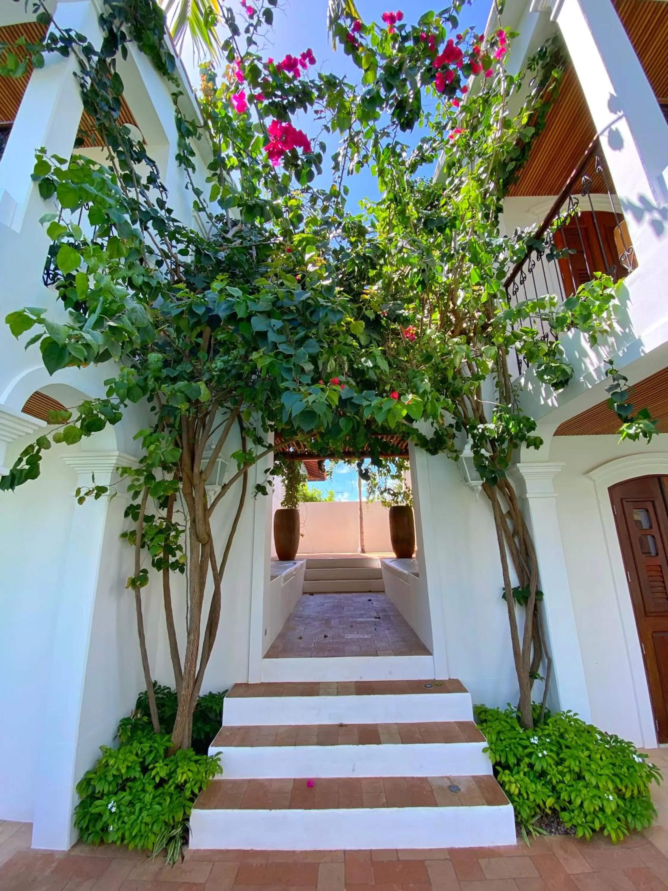Garden view in Villa Canziani & Donato