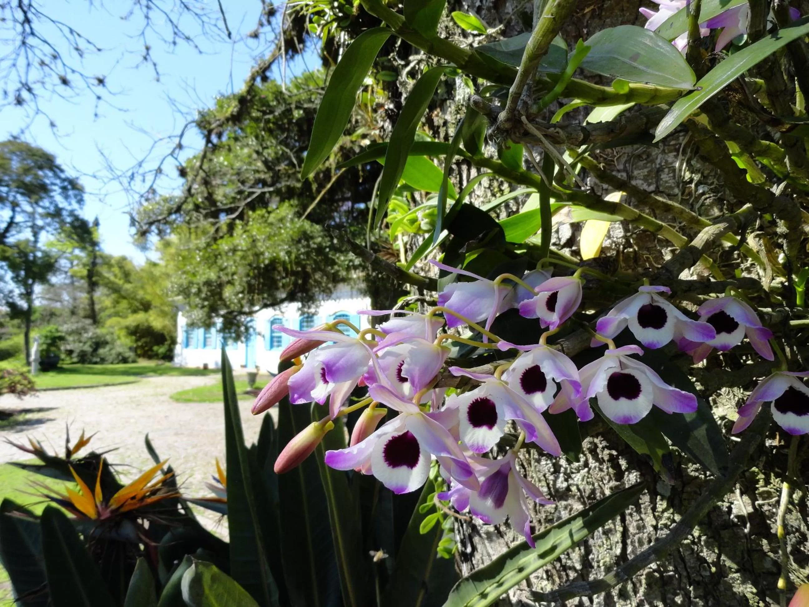 Facade/entrance in Charqueada Santa Rita Pousada de Charme