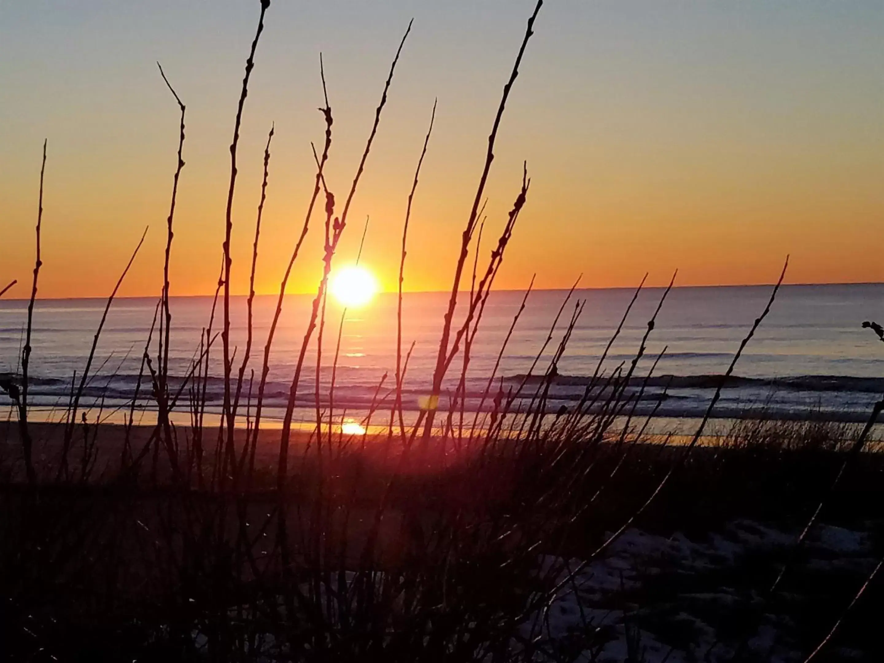 Beach, Sunrise/Sunset in The Waldport Inn