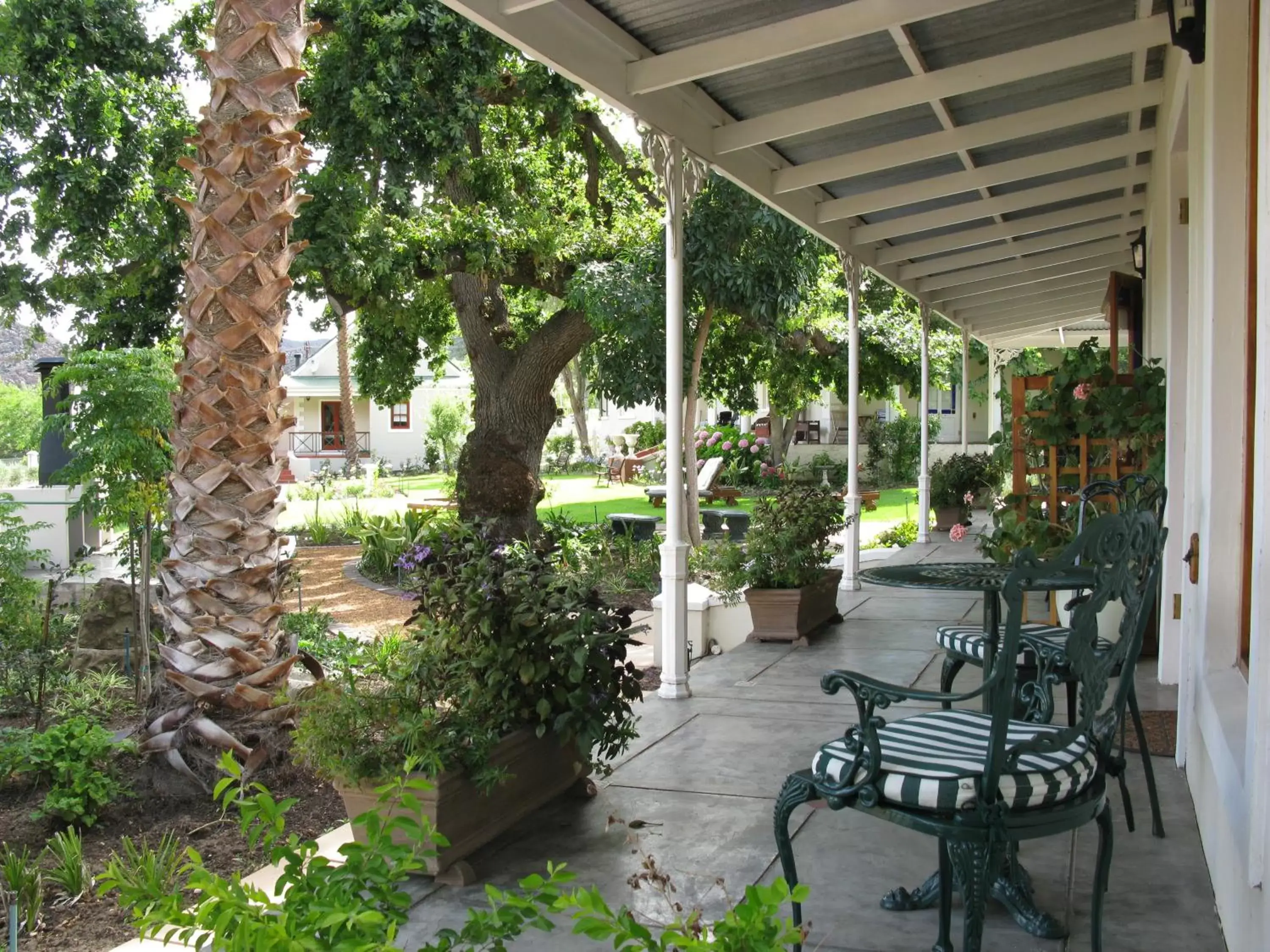 Patio in Montagu Vines Guesthouse