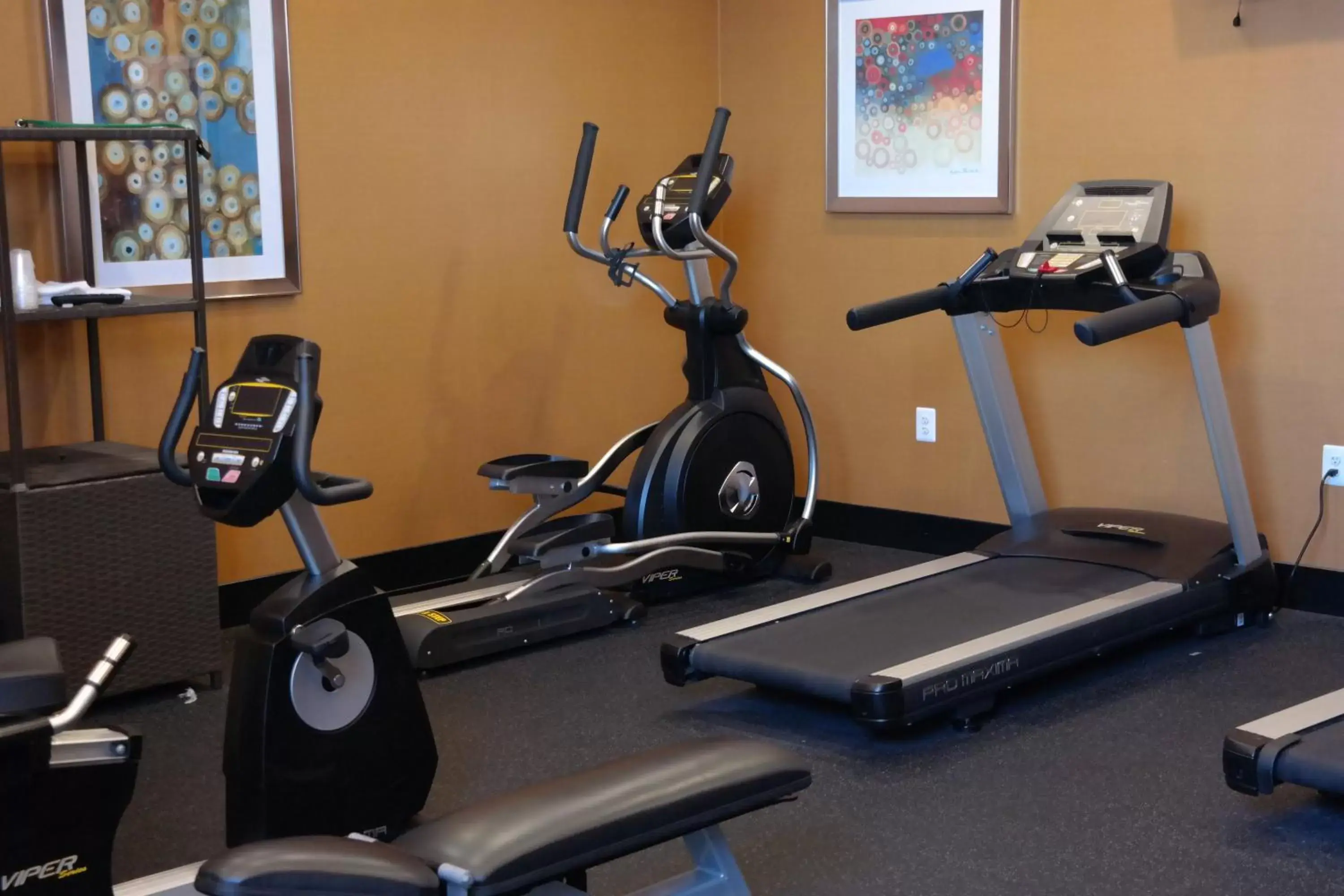 Fitness centre/facilities, Fitness Center/Facilities in Holiday Inn Express Fredericksburg - Southpoint, an IHG Hotel