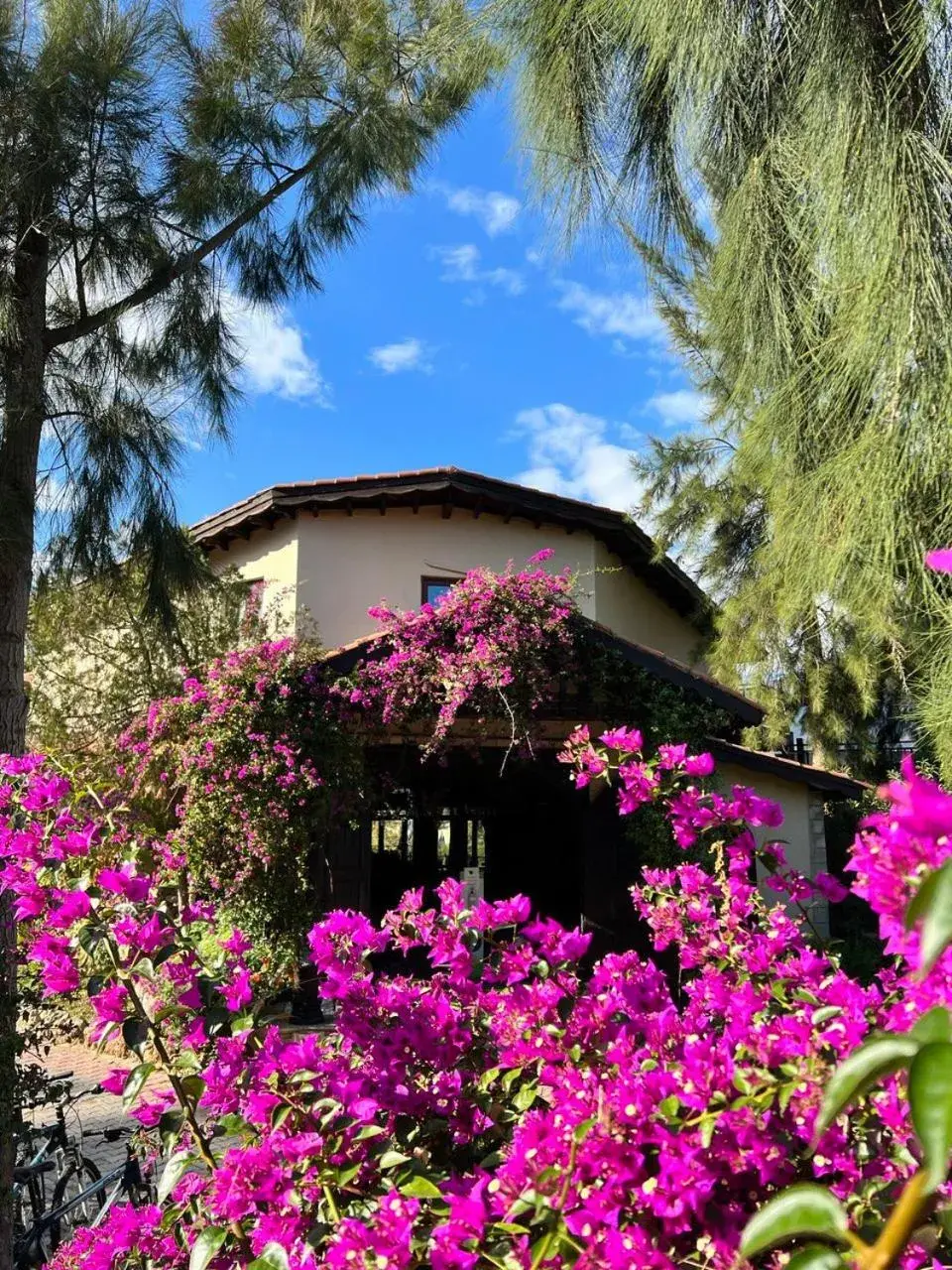 Lobby or reception in Hotel Berke Ranch&Nature Lobby or reception in Hotel Berke Ranch&Nature