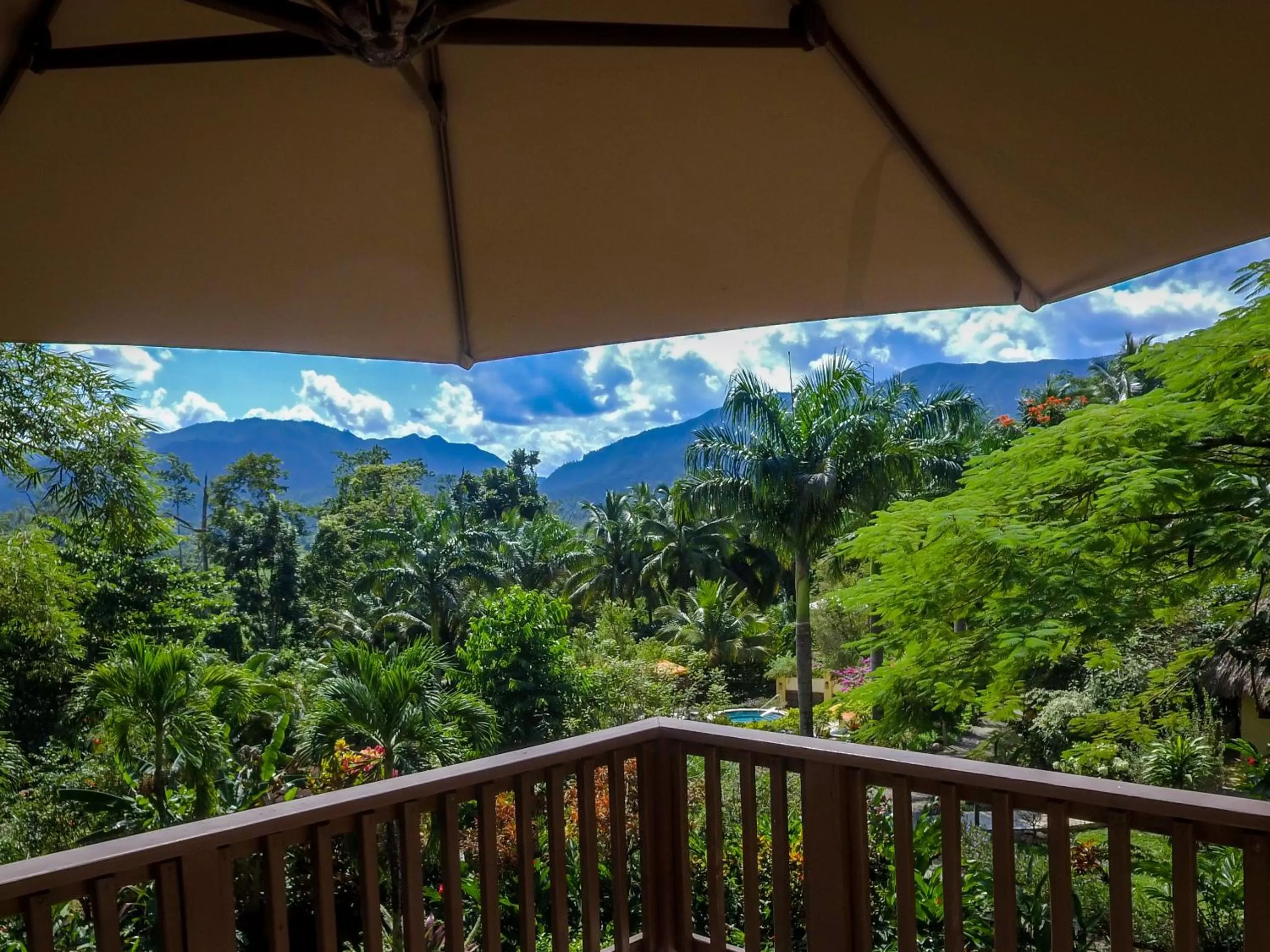 Restaurant/places to eat in Sleeping Giant Rainforest Lodge