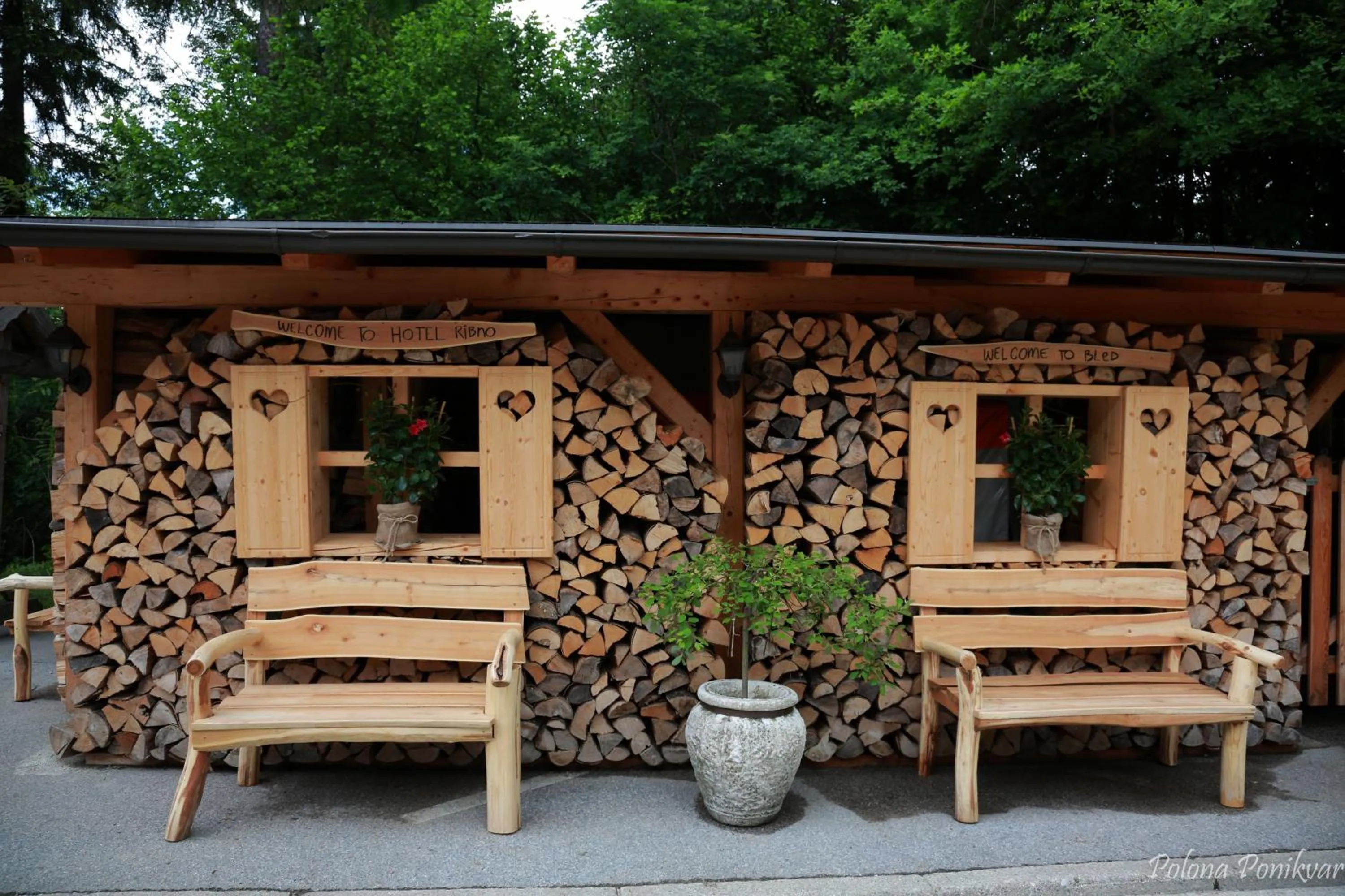 Area and facilities in Ribno Alpine Hotel