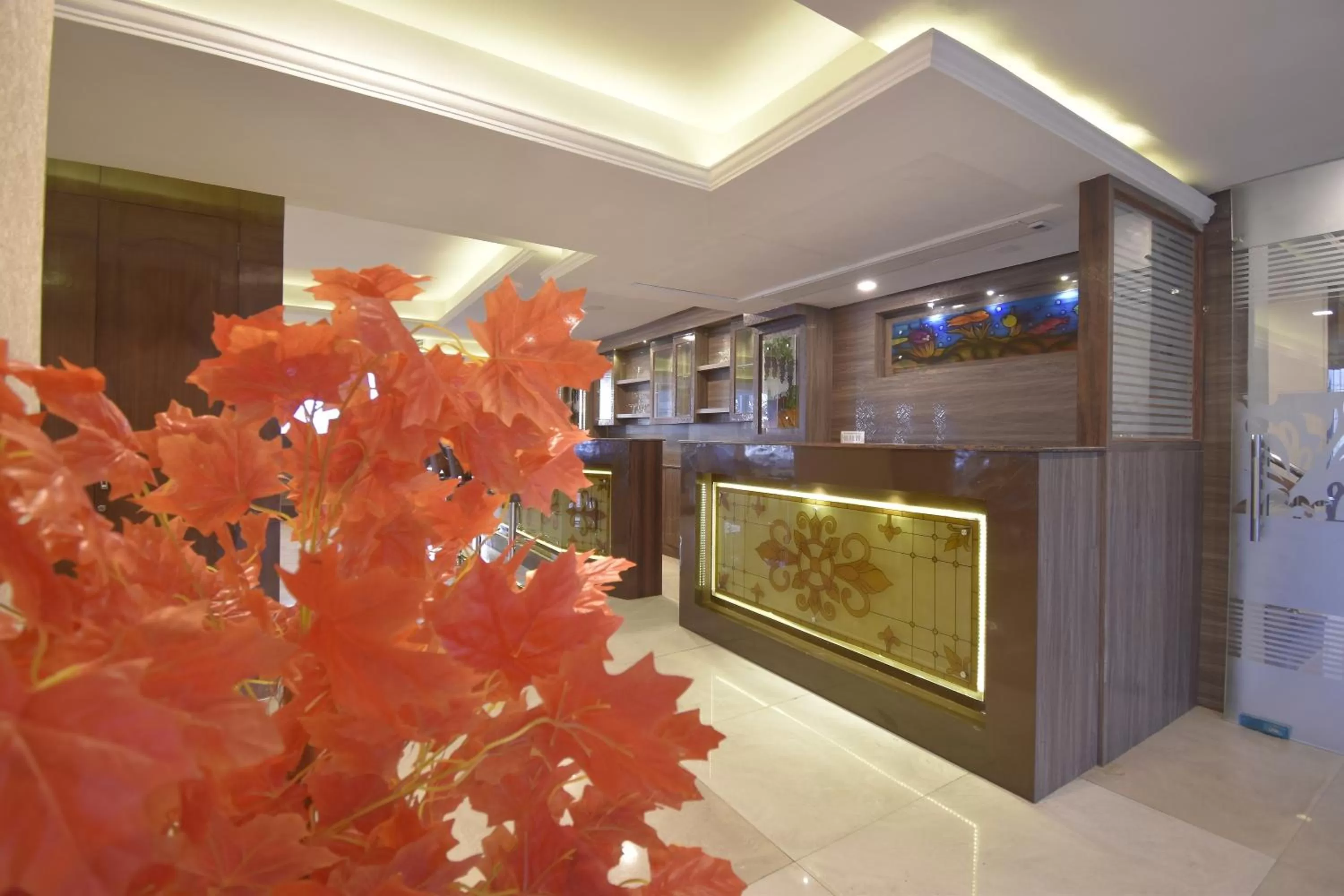 TV and multimedia, Lobby/Reception in The Royal Castle AC Centralized