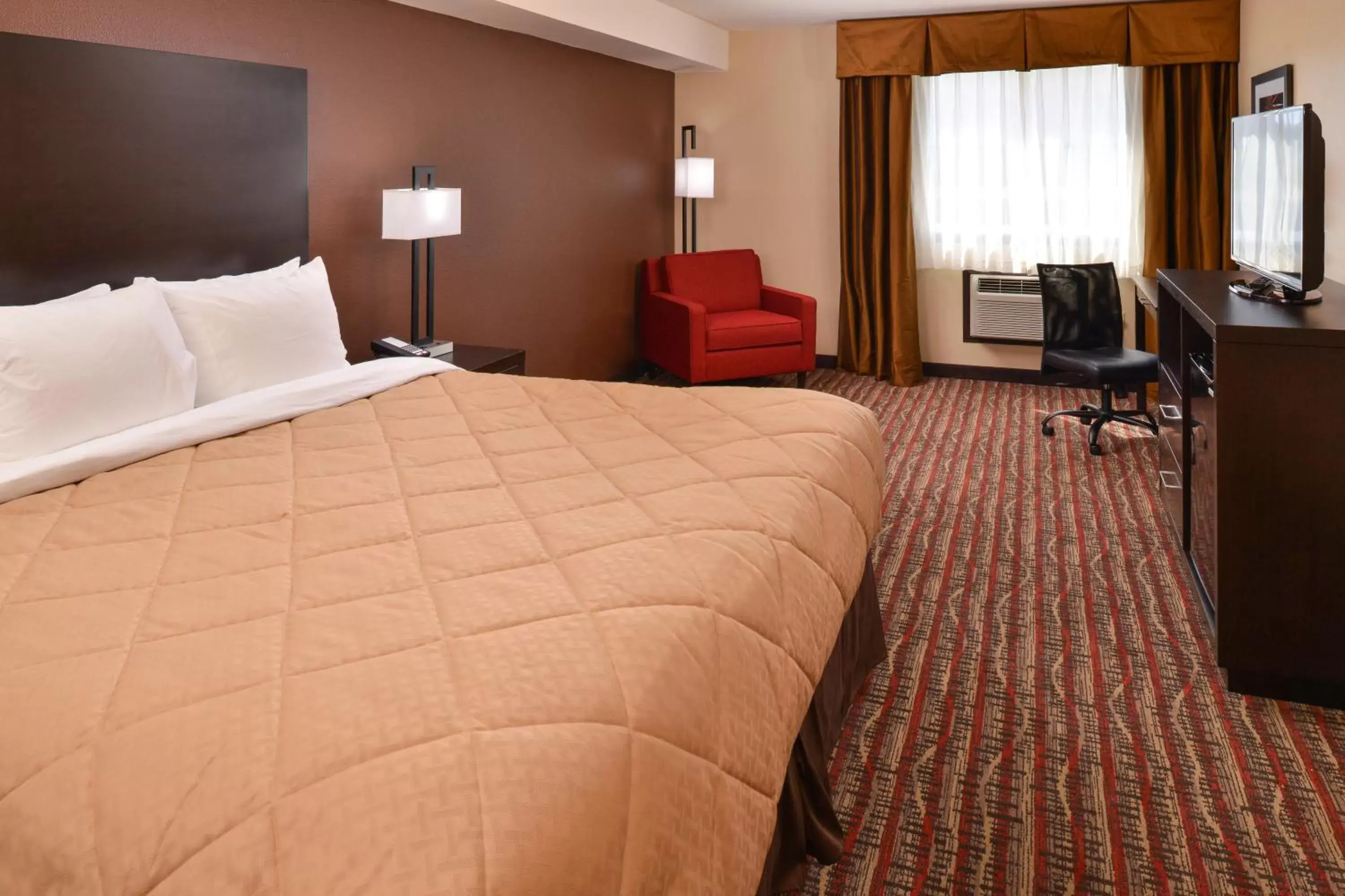 Photo of the whole room, Bed in Quality Inn & Suites Tacoma - Seattle