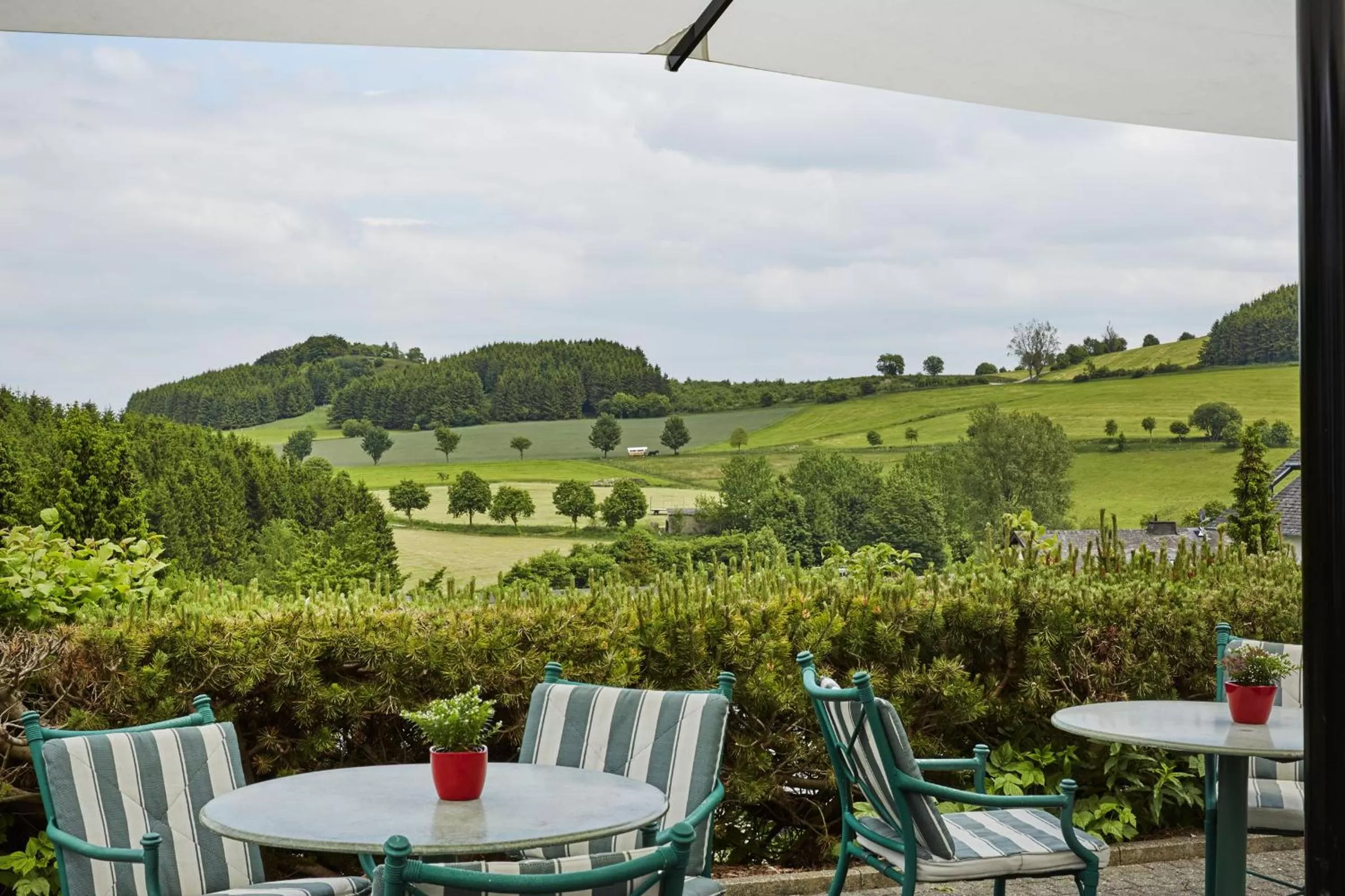 Balcony/Terrace in H+ Hotel Willingen