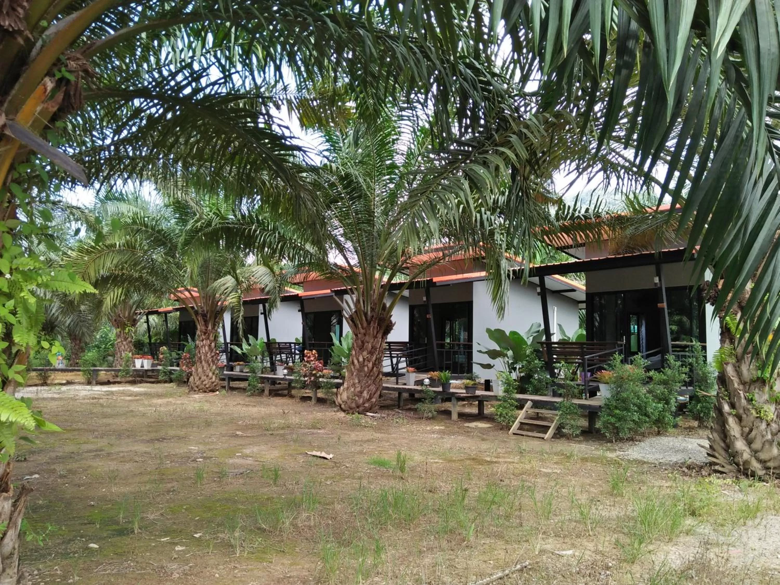Natural landscape in Khao Sok Residence Resort