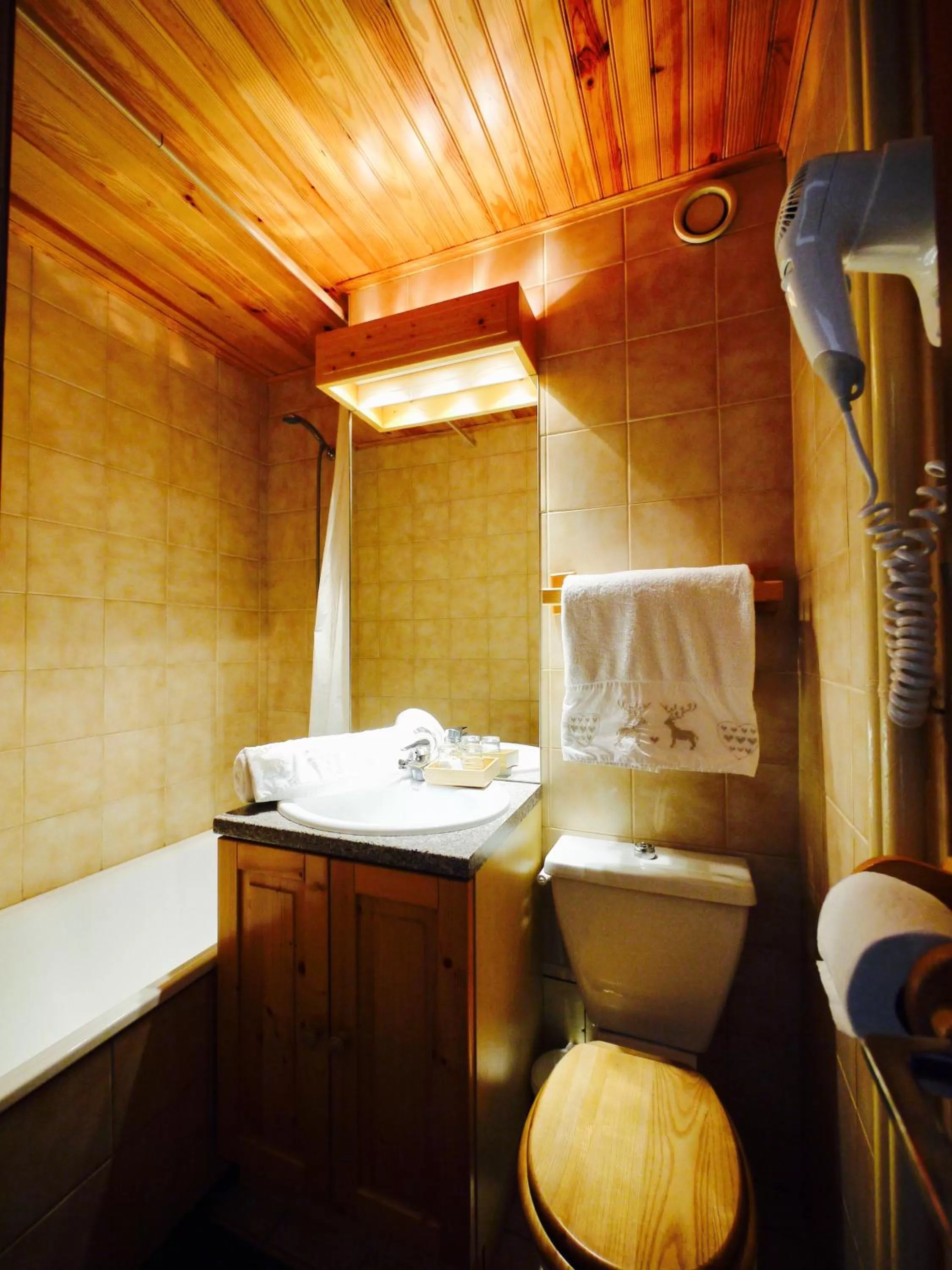 Shower in Alberta Hotel & Spa