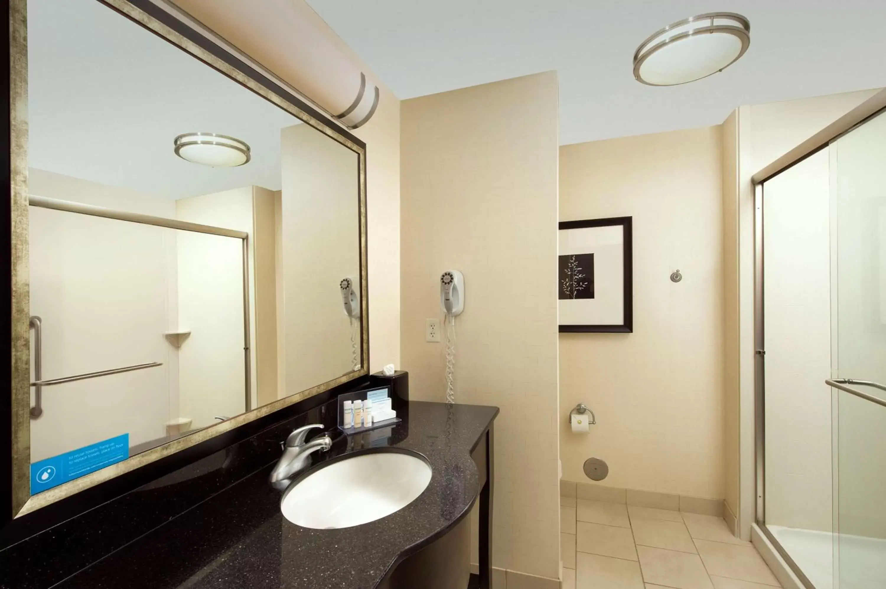 Bathroom in Hampton Inn & Suites Chicago Southland-Matteson