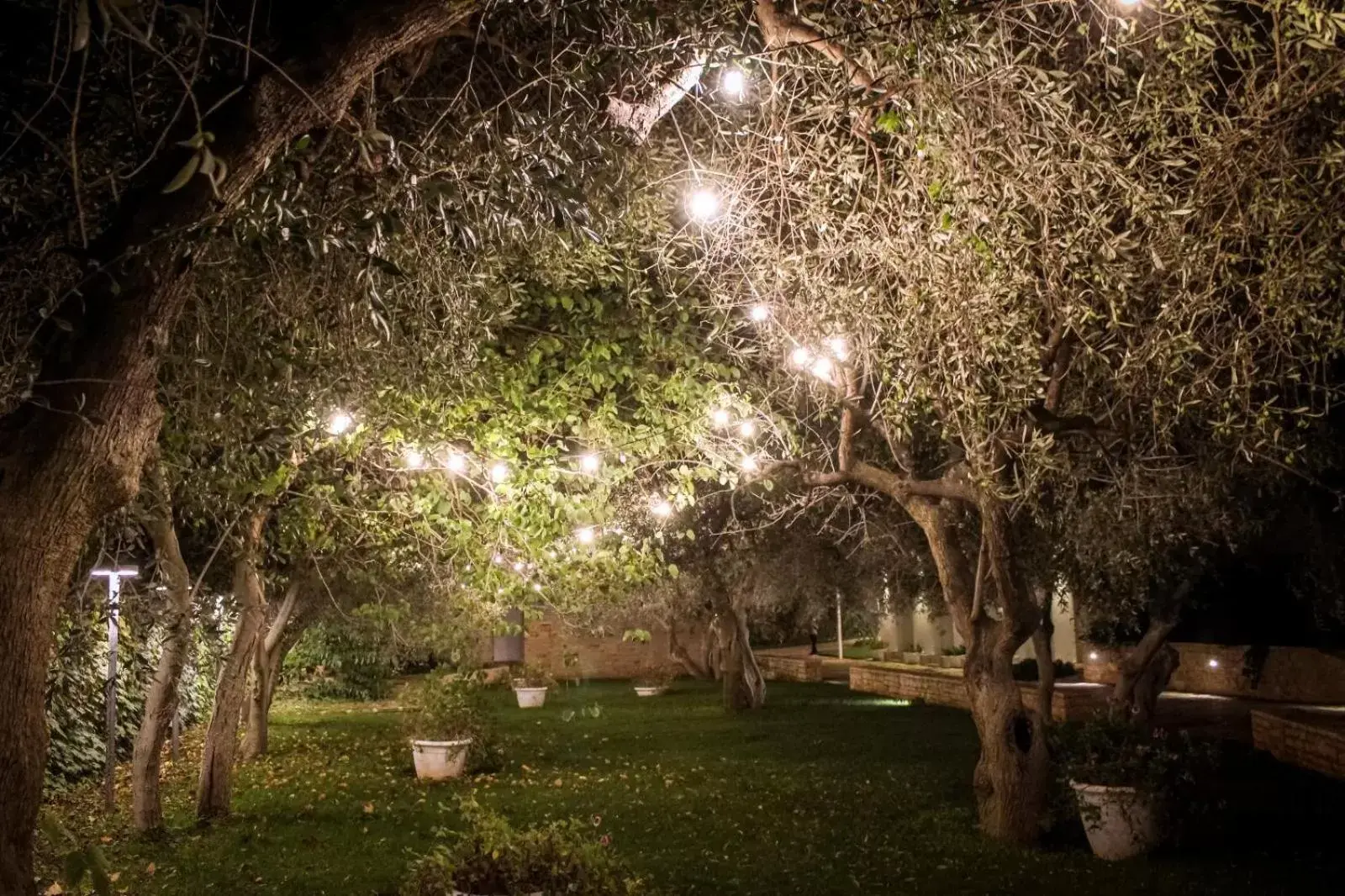 Garden in Hotel Torre Domini