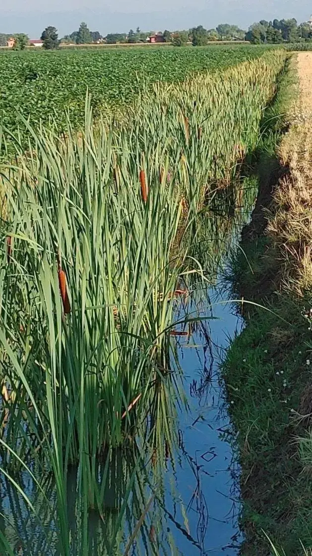 Natural landscape in B&B Al Vecio Morer