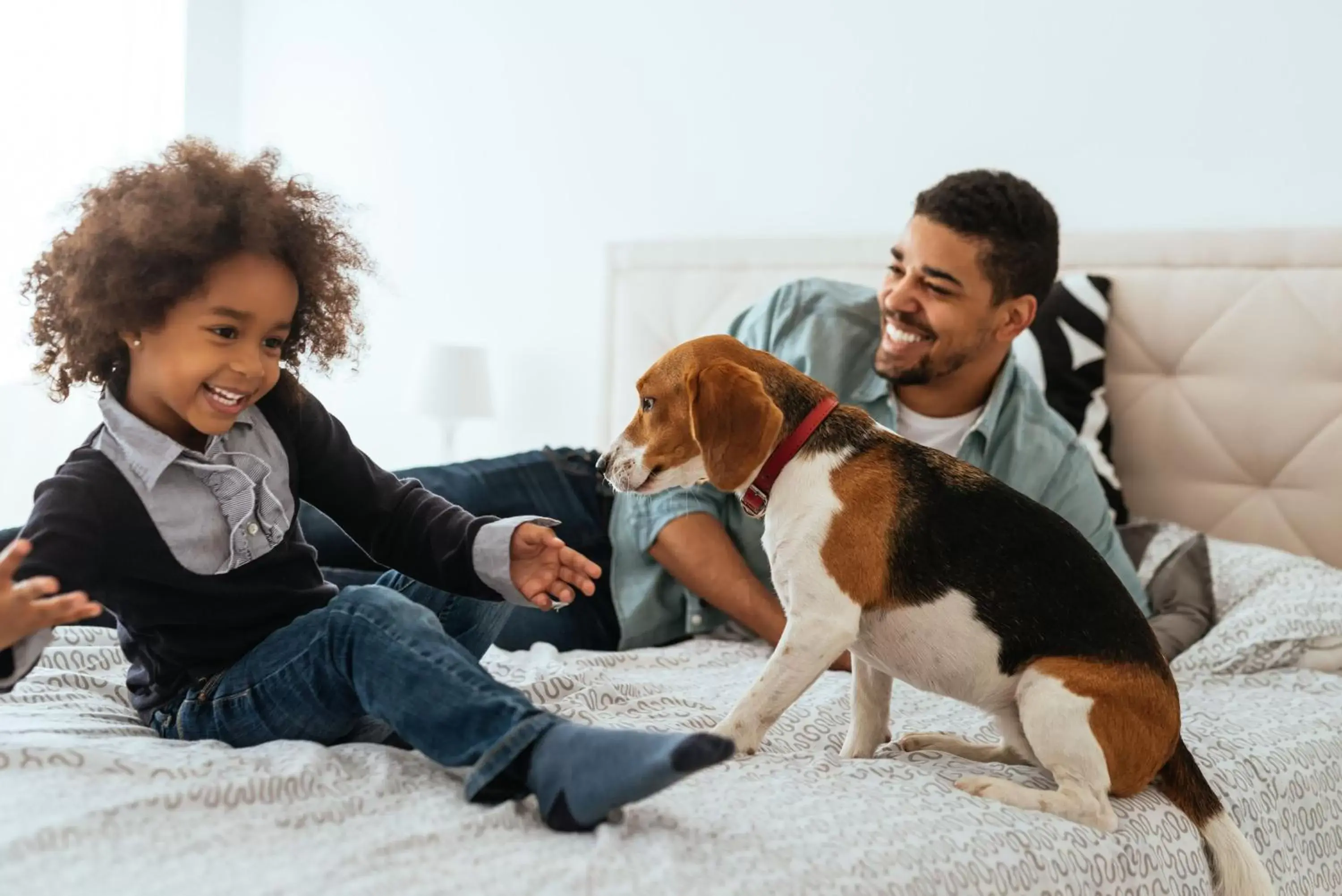 Pets, Family in Citadines Sainte Catherine Brussels