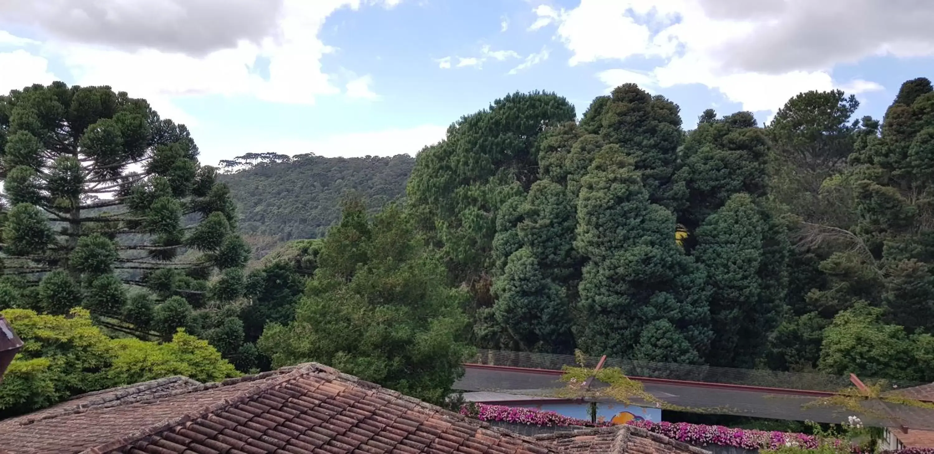 Natural landscape, Pool View in Hotel Toriba