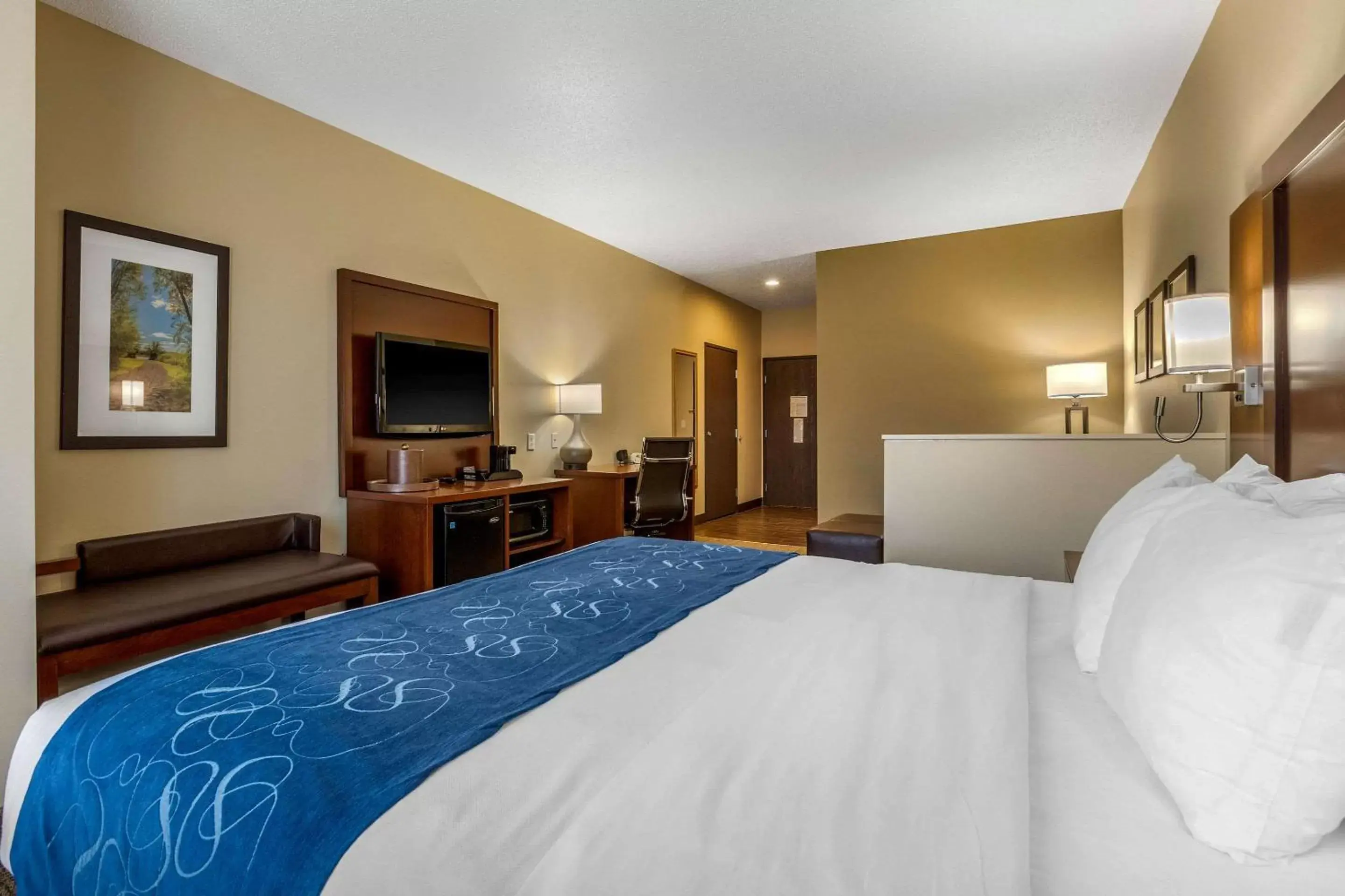 Photo of the whole room in Comfort Suites Cedar Falls