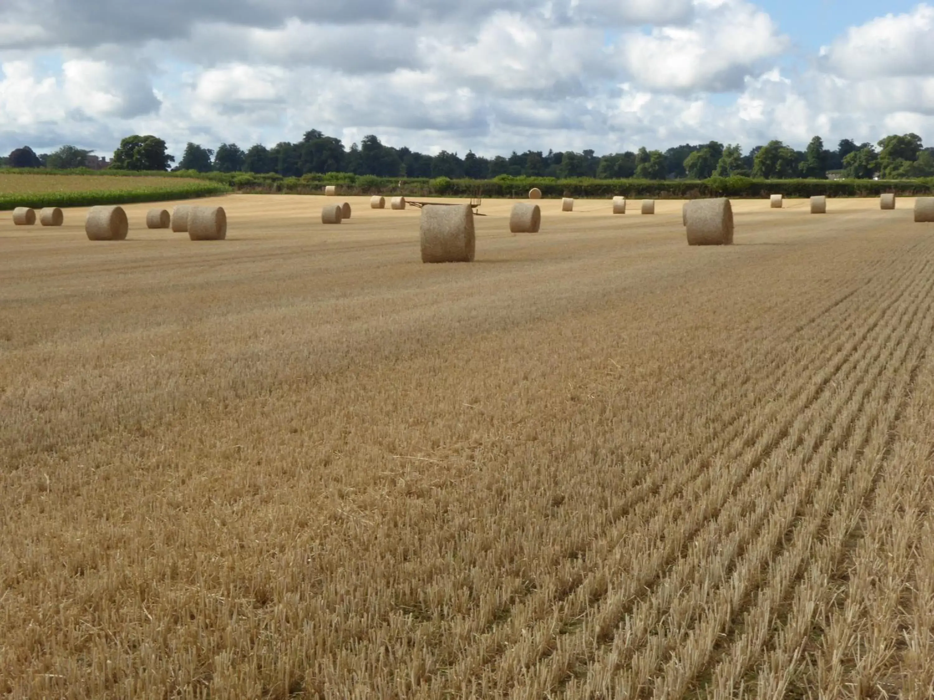 Natural landscape in Upper Eyton Farmhouse B&B