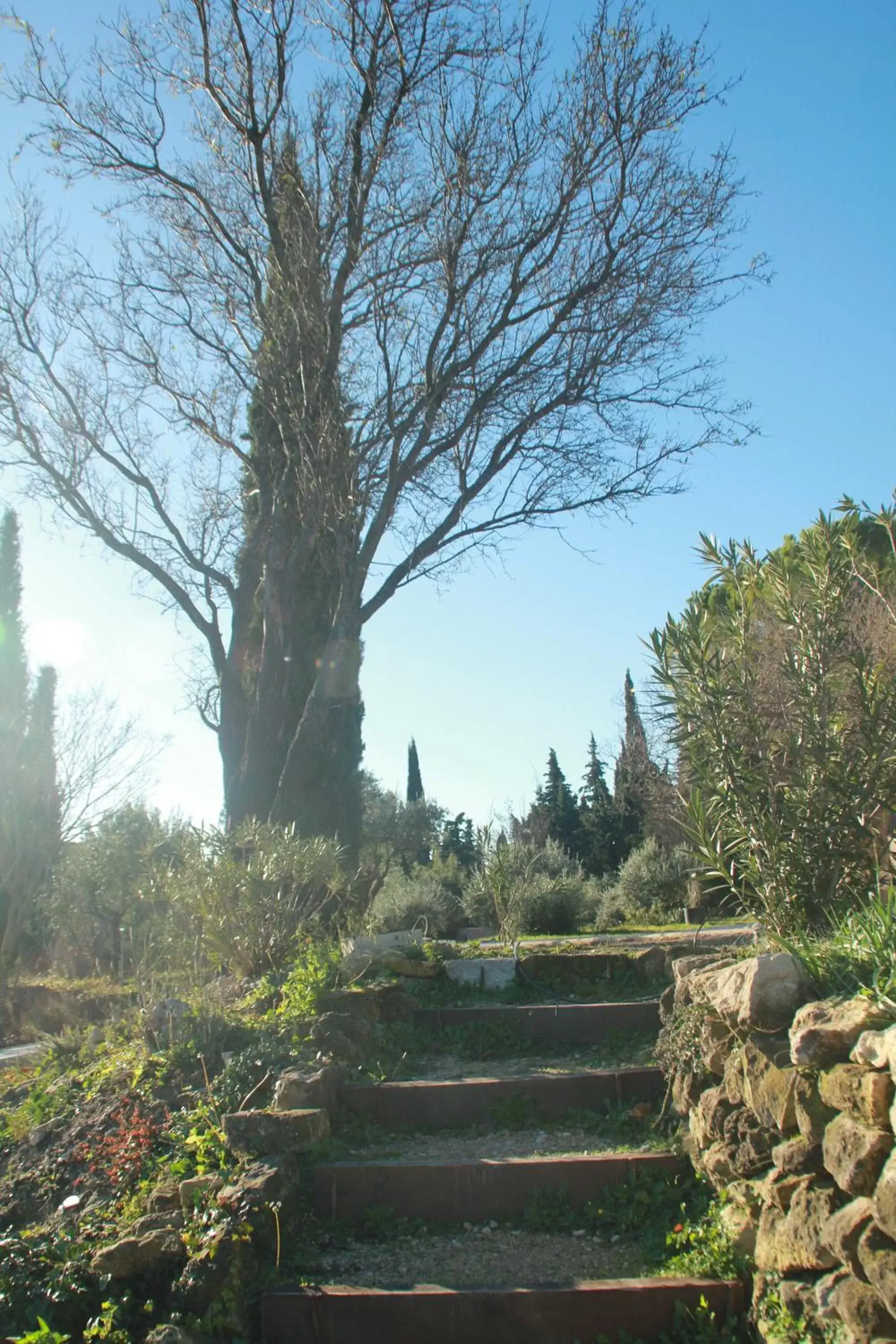 La Bastide du Limon