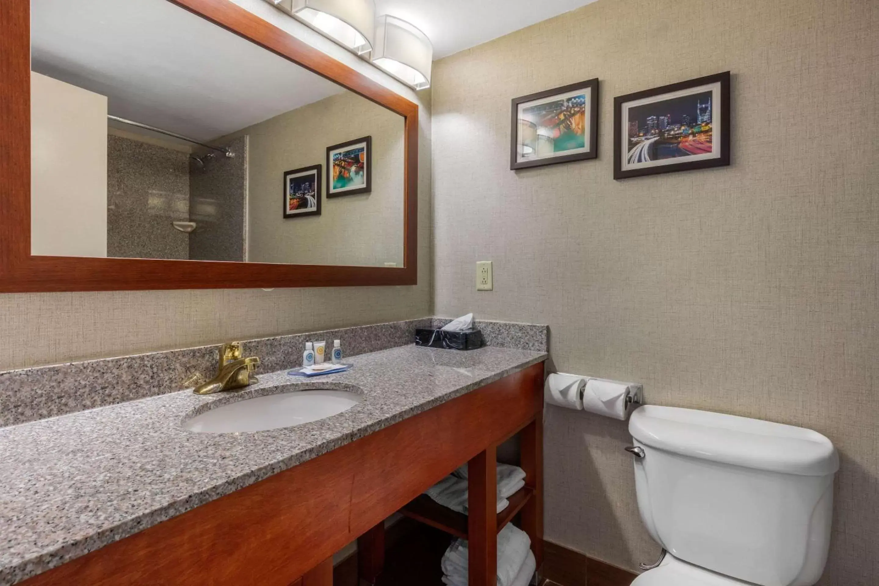 Photo of the whole room, Bathroom in Comfort Inn & Suites Nashville-Antioch