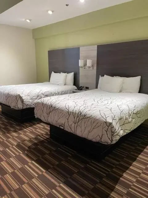 Bed in HomeTown Inn and Suites Belle Plaine