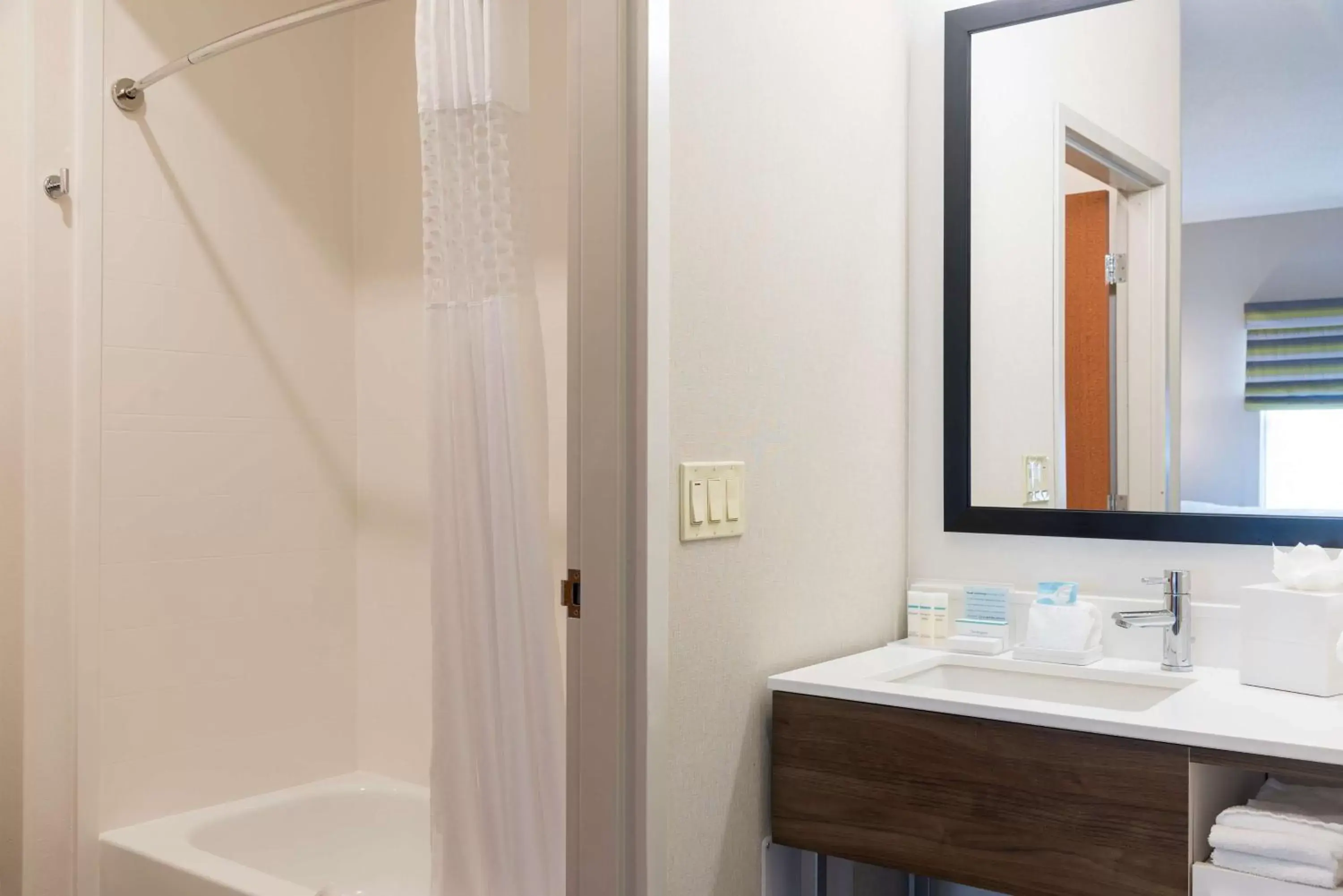 Bathroom in Hampton Inn & Suites East Lansing