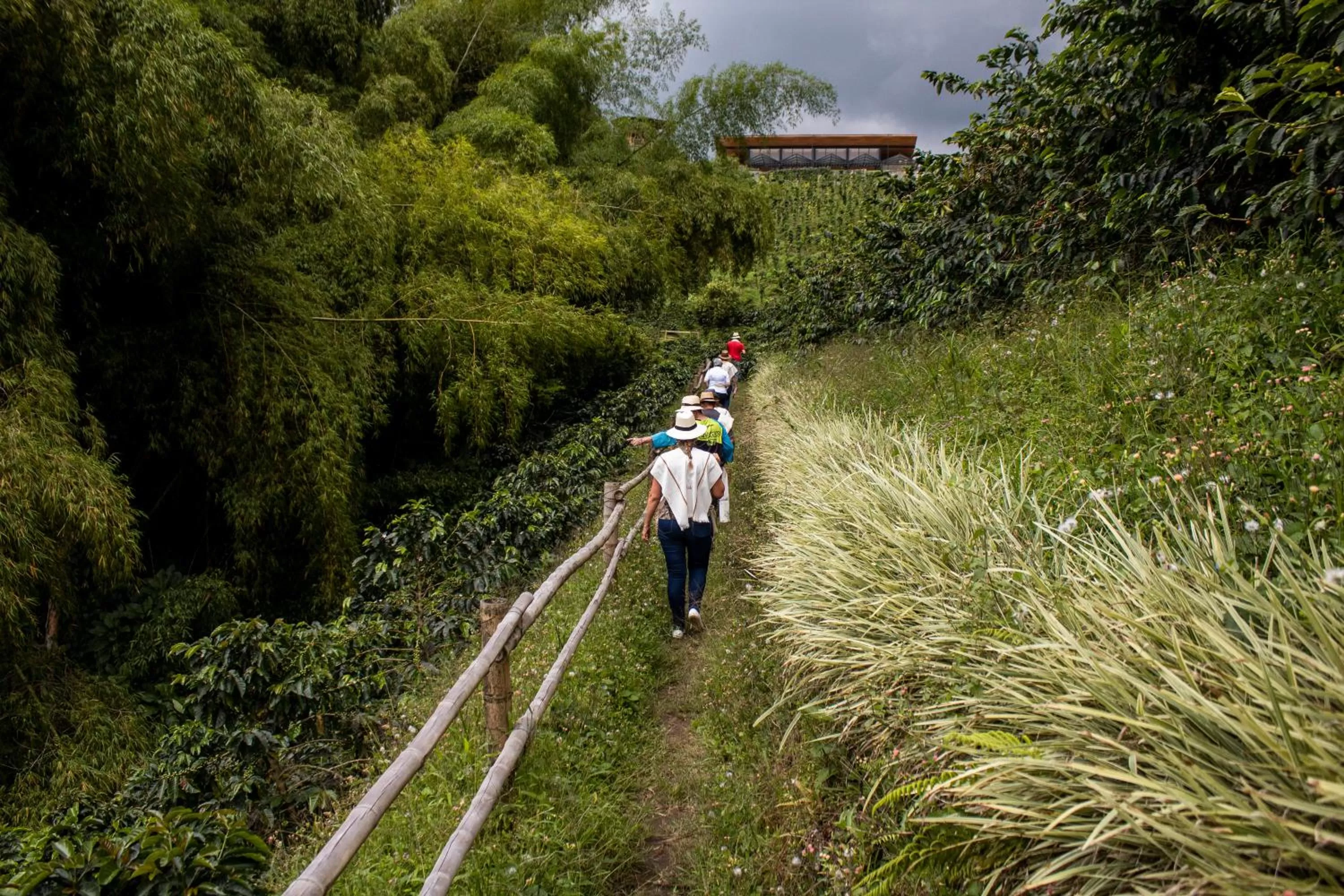 Activities in Finca del Café - Casa Typica