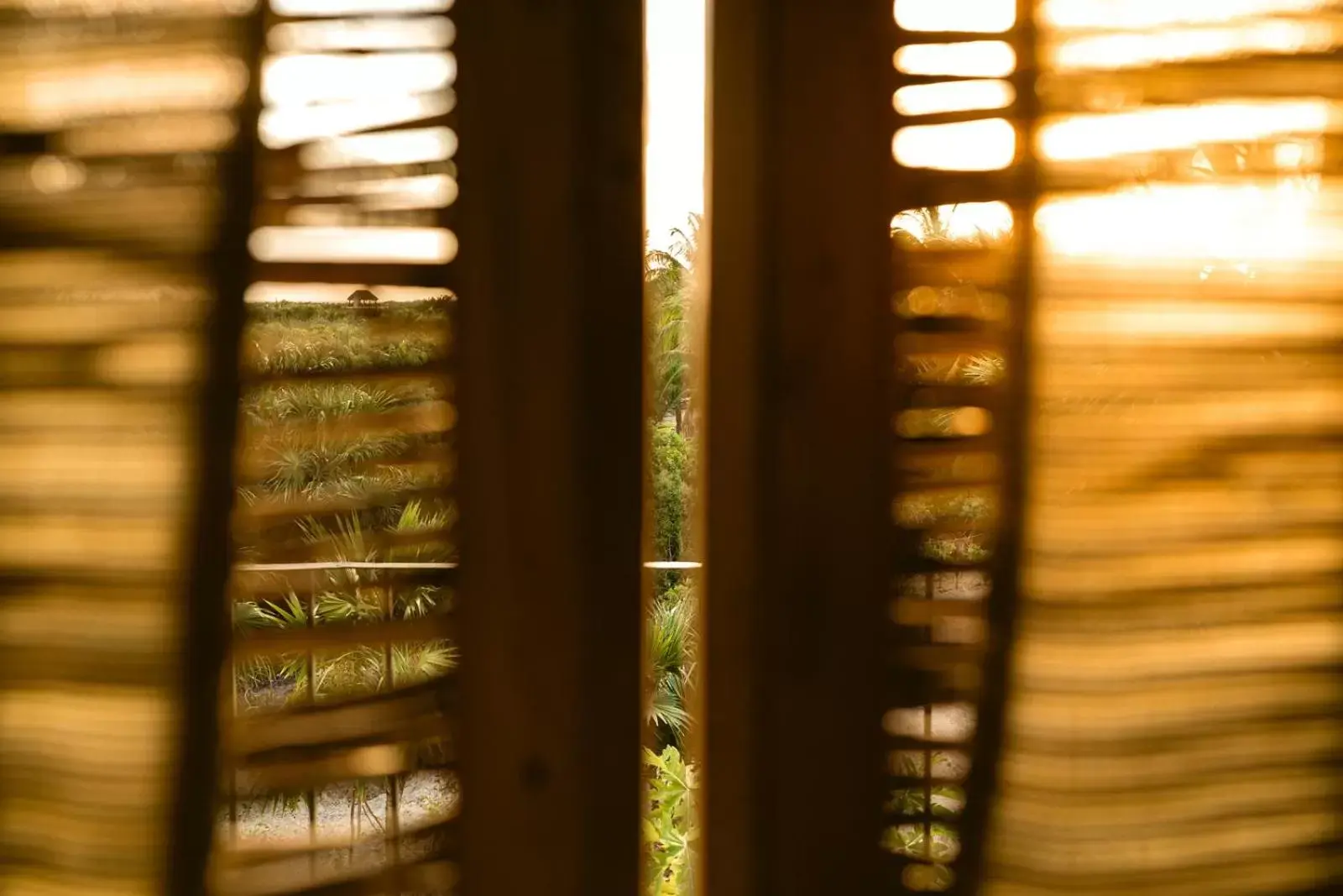 Decorative detail in Casa Mia El Cuyo Eco Beach Boutique Hotel