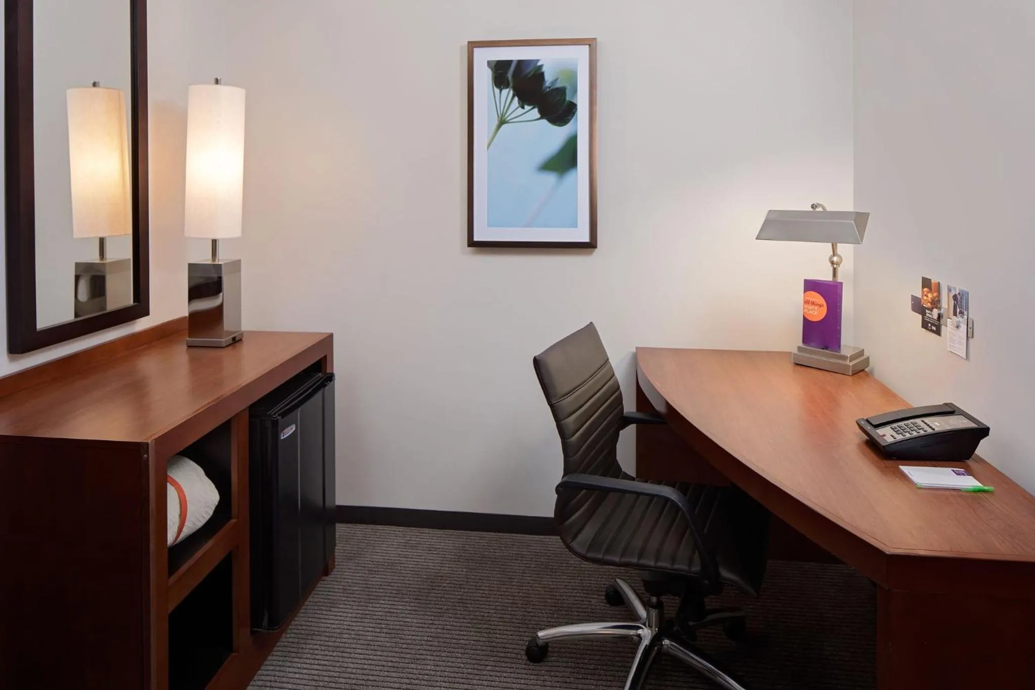 Living room in Hyatt Place Pittsburgh North Shore