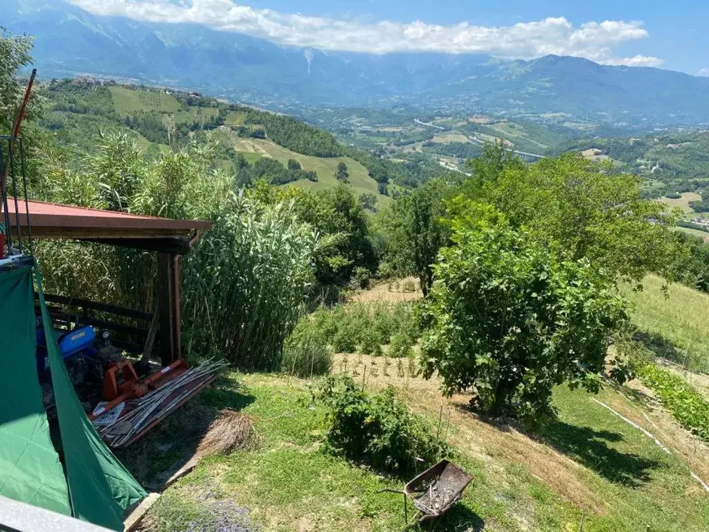 Garden in Agriturismo Flarà