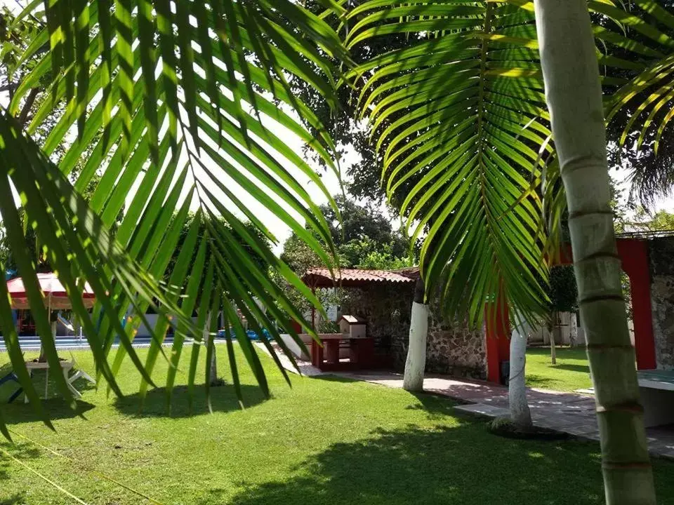 Garden view, Garden in Hotel Quinta Paraiso