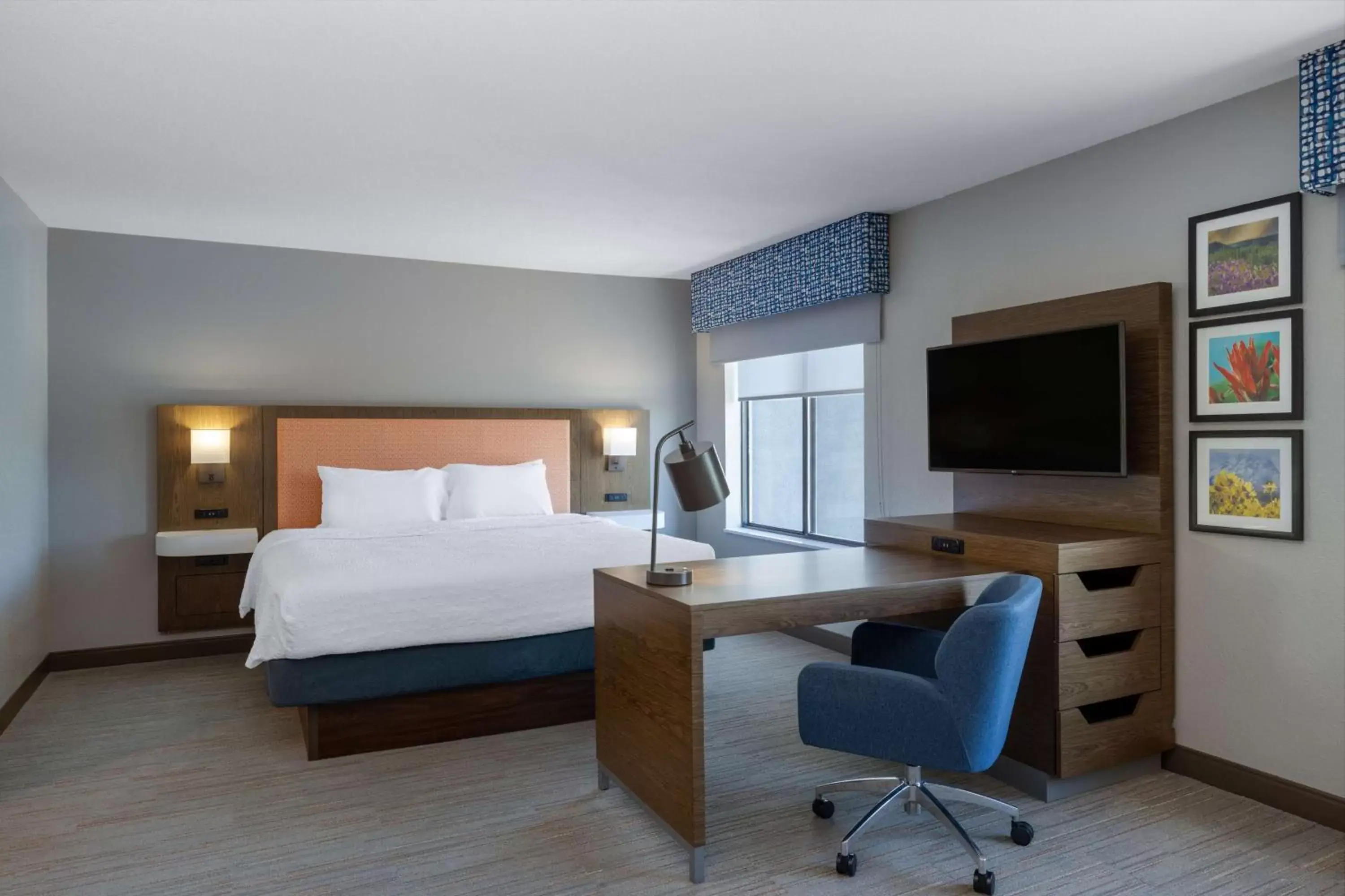 Bedroom, TV/Entertainment Center in Newly Renovated-Hampton Inn & Suites Casper