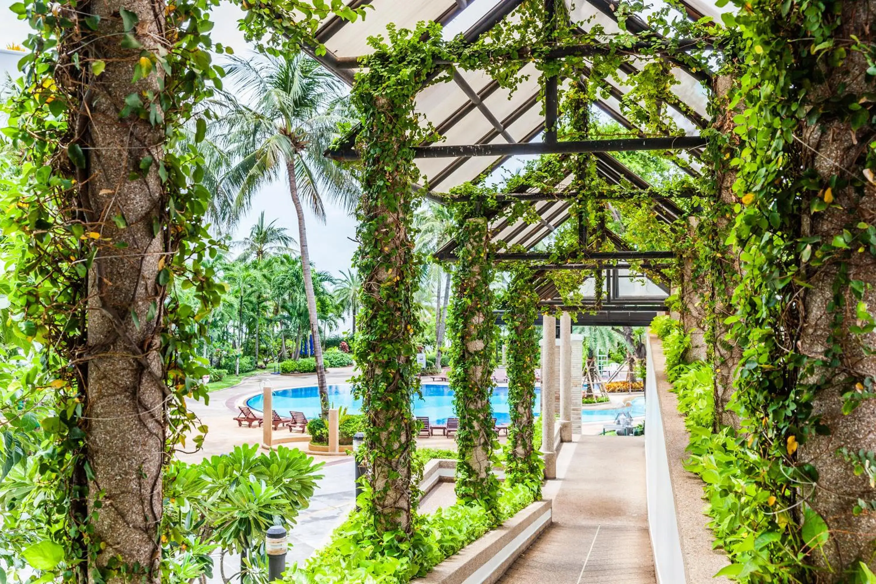 Garden, Pool View in Cholchan Pattaya Beach Resort - SHA Extra Plus