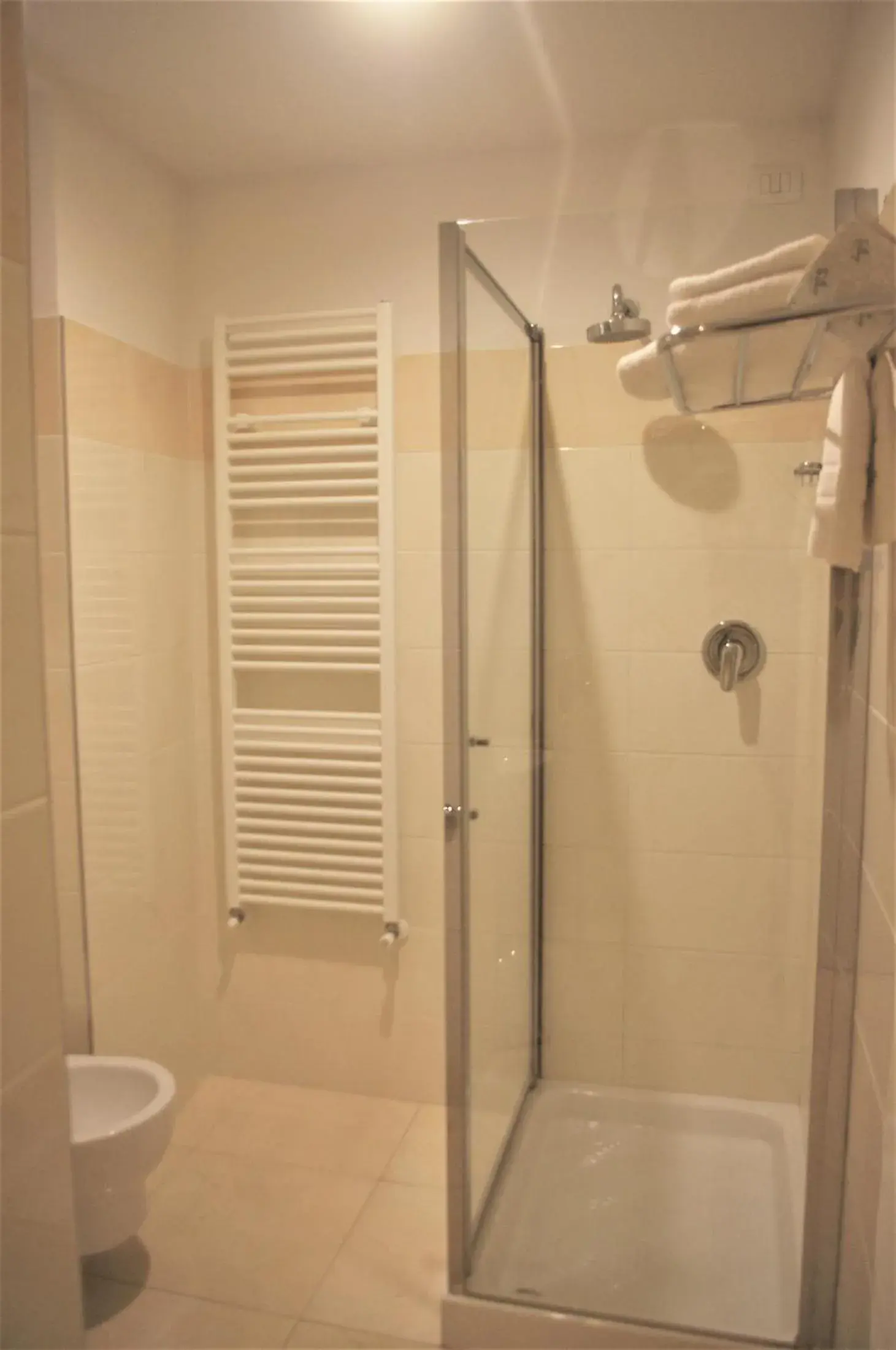 Shower, Bathroom in Hotel Volterra In
