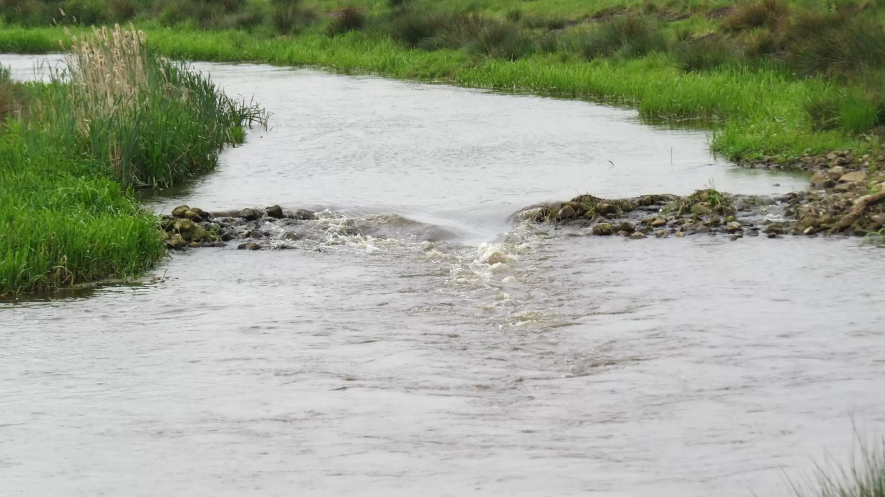 Natural landscape in 't Zwanemeer