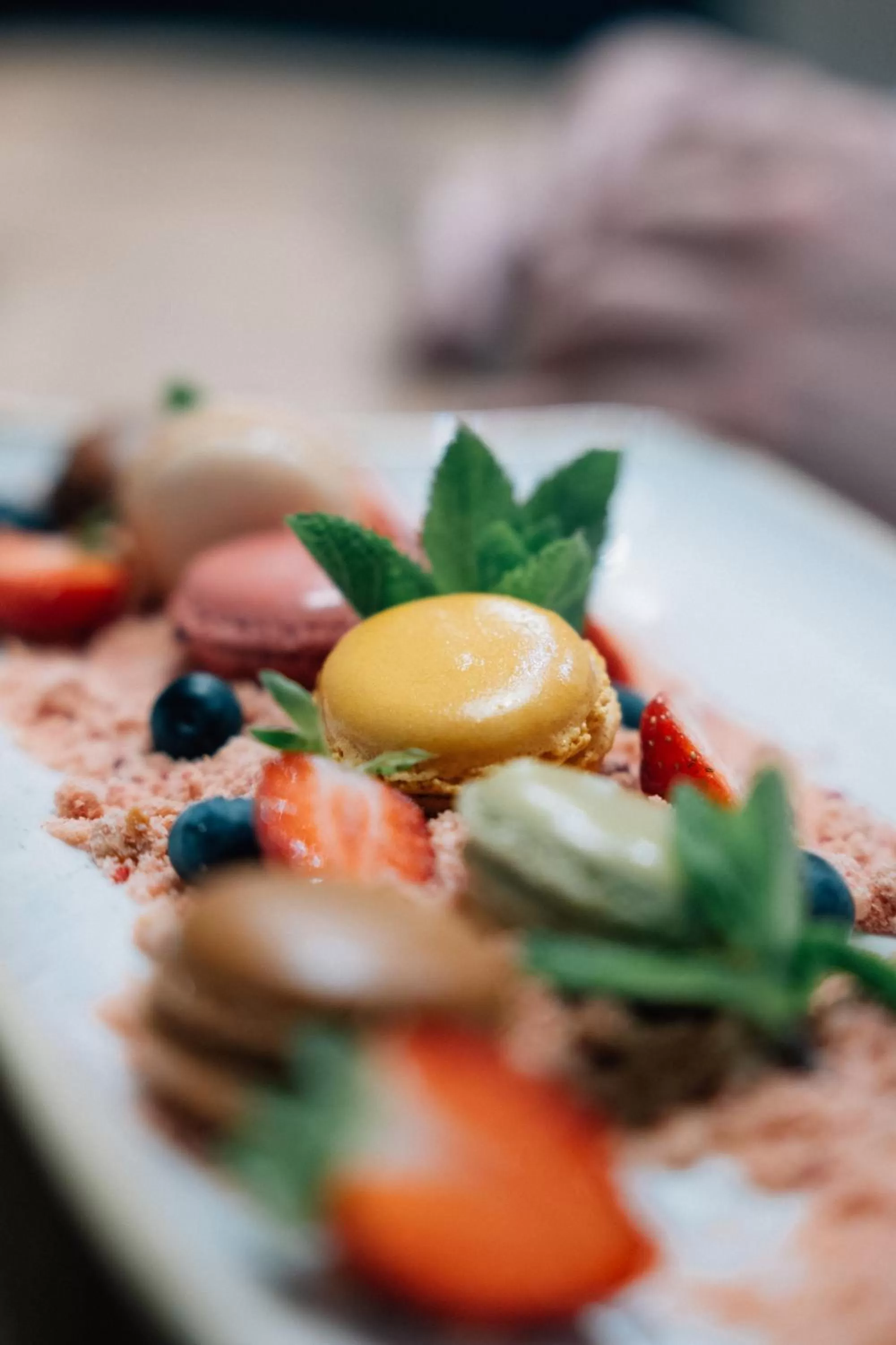 Meeting/conference room in Hotel Rodderhof