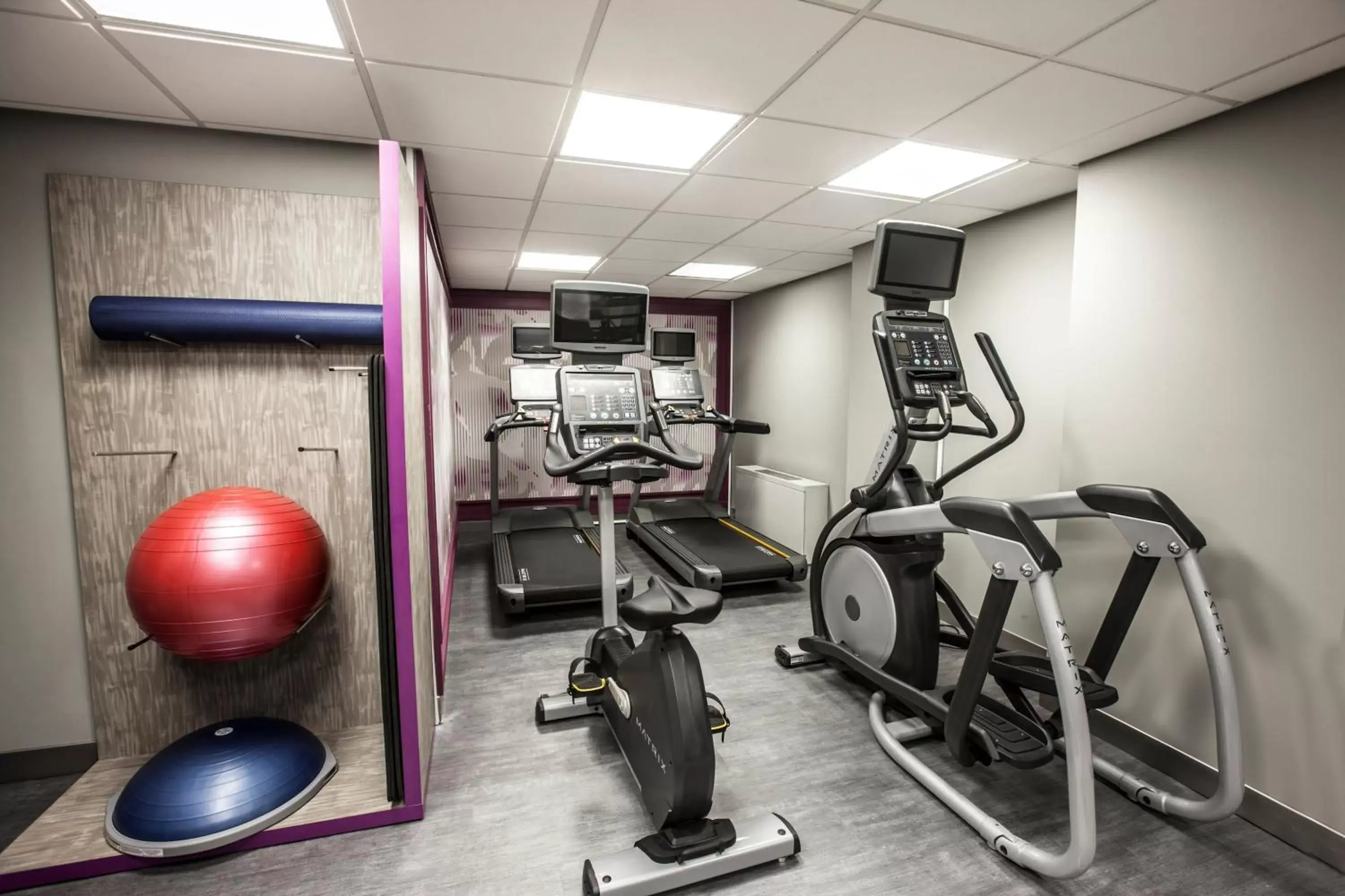 Fitness centre/facilities, Fitness Center/Facilities in Crowne Plaza Hotel-Niagara Falls/Falls View, an IHG Hotel
