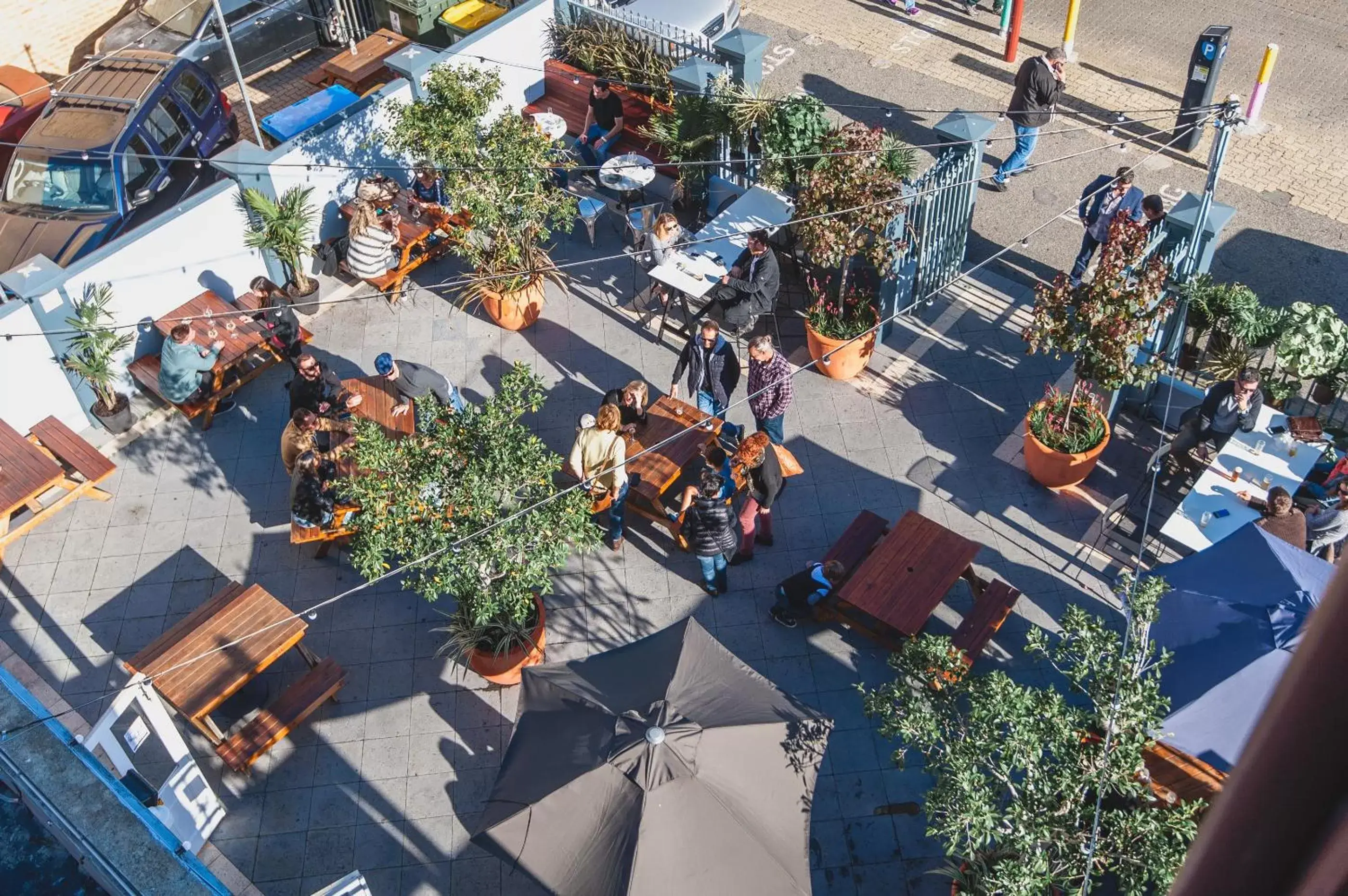 Garden, Bird's-eye View in The Federal Boutique Hotel