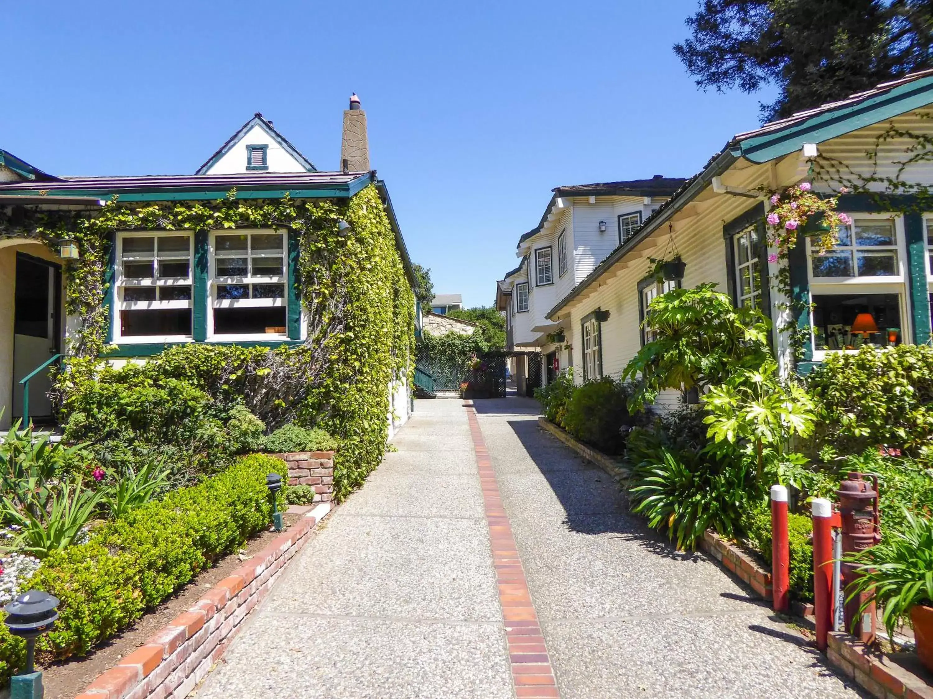 Day, Garden in Briarwood Inn